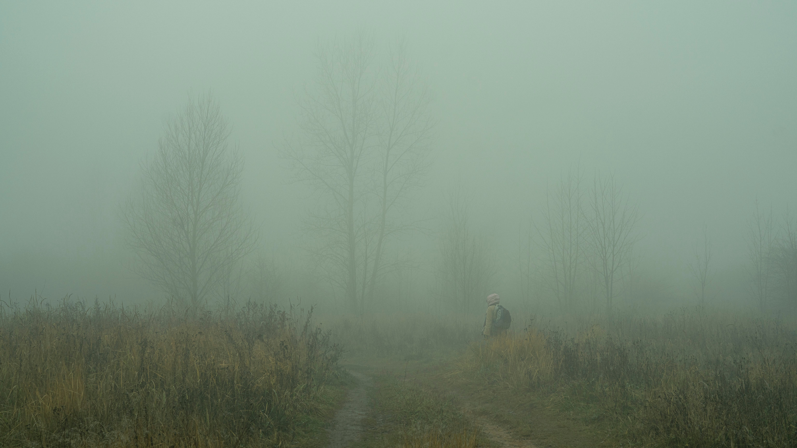 Туман в Москве (ноябрь 2021). Фотограф Сергей Танков