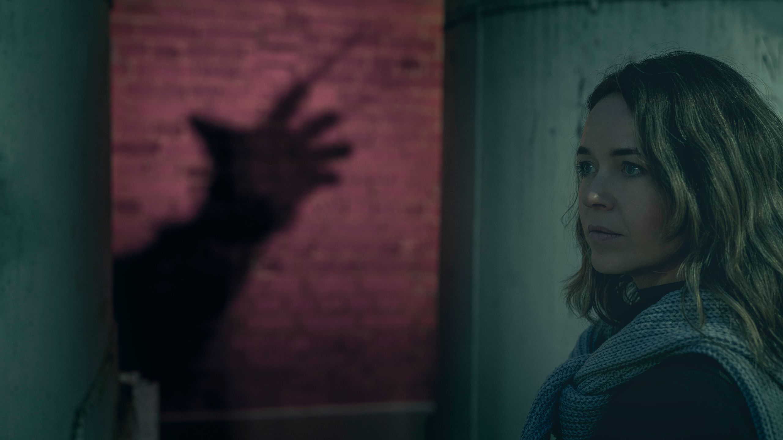 Freddy K. Фотограф Сергей Танков