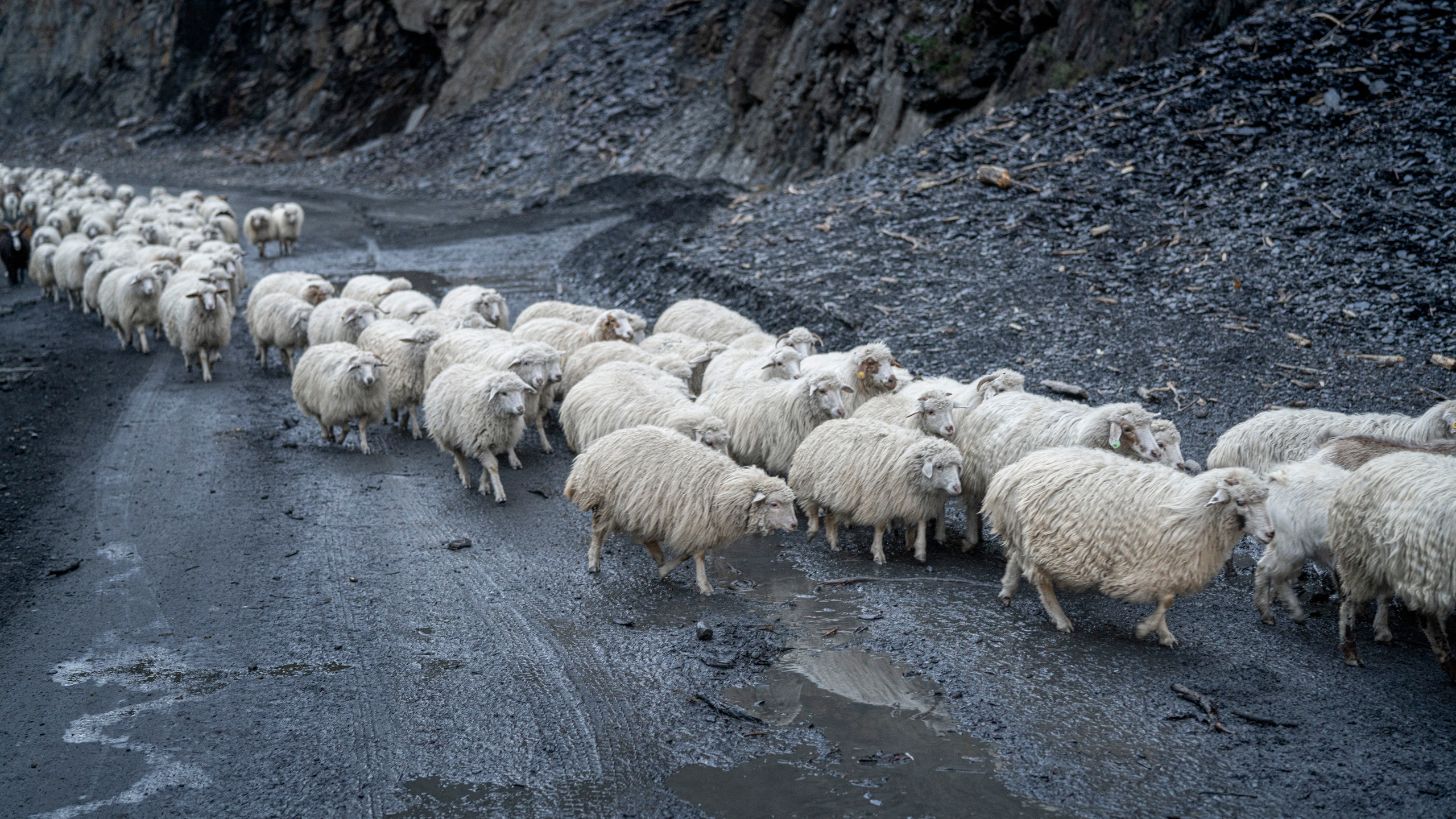 Дагестан (октябрь 2021). Фотограф Сергей Танков