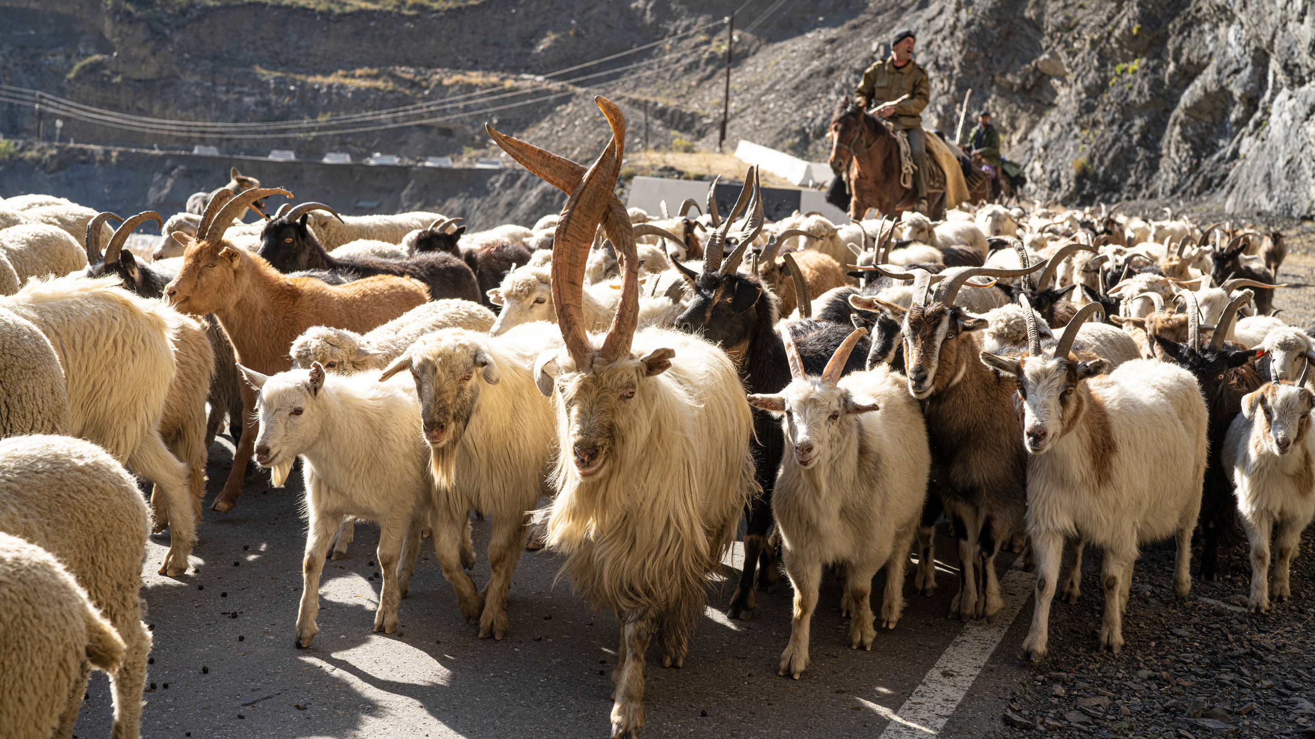 Дагестан (октябрь 2021). Фотограф Сергей Танков