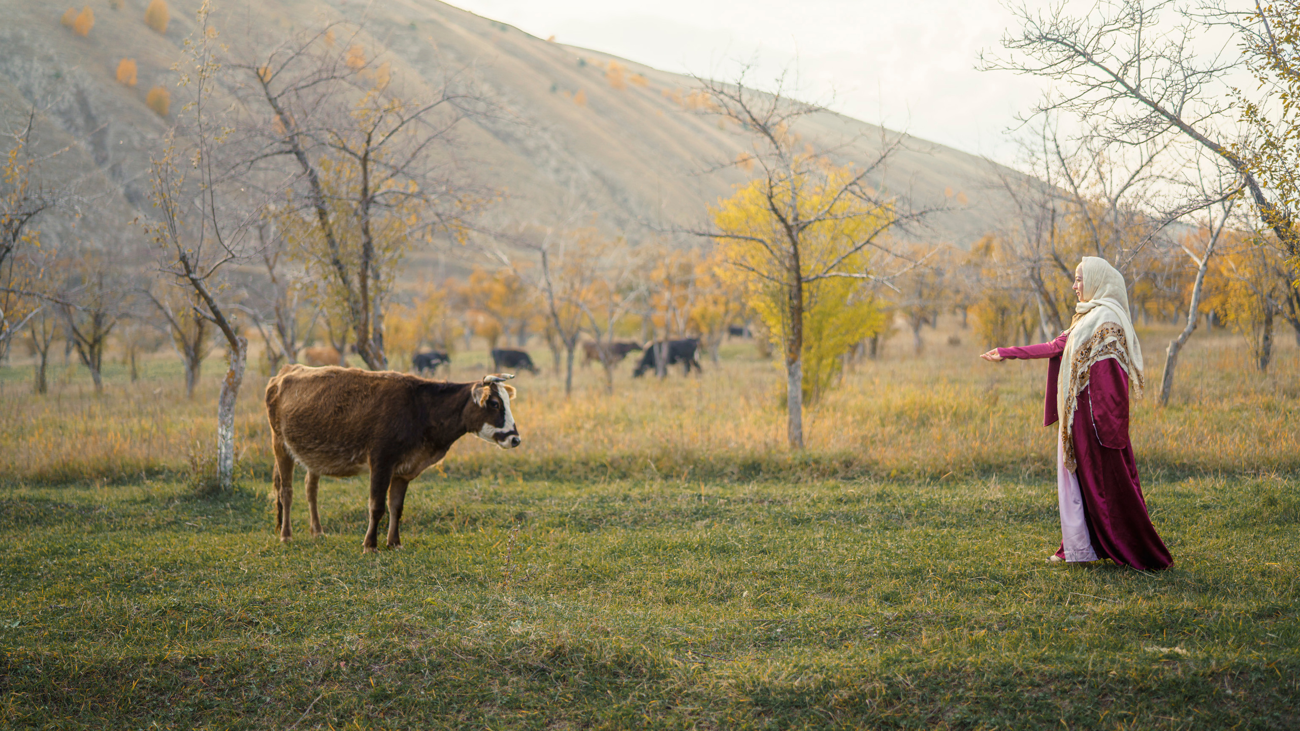 Дагестан (октябрь 2021). Фотограф Сергей Танков