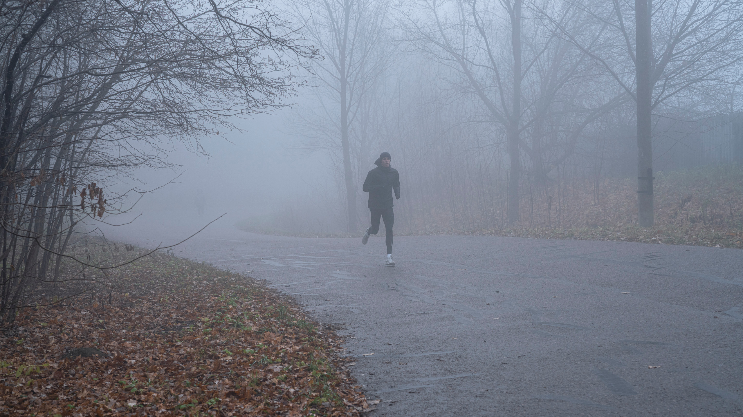 Туман в Москве (ноябрь 2021). Фотограф Сергей Танков
