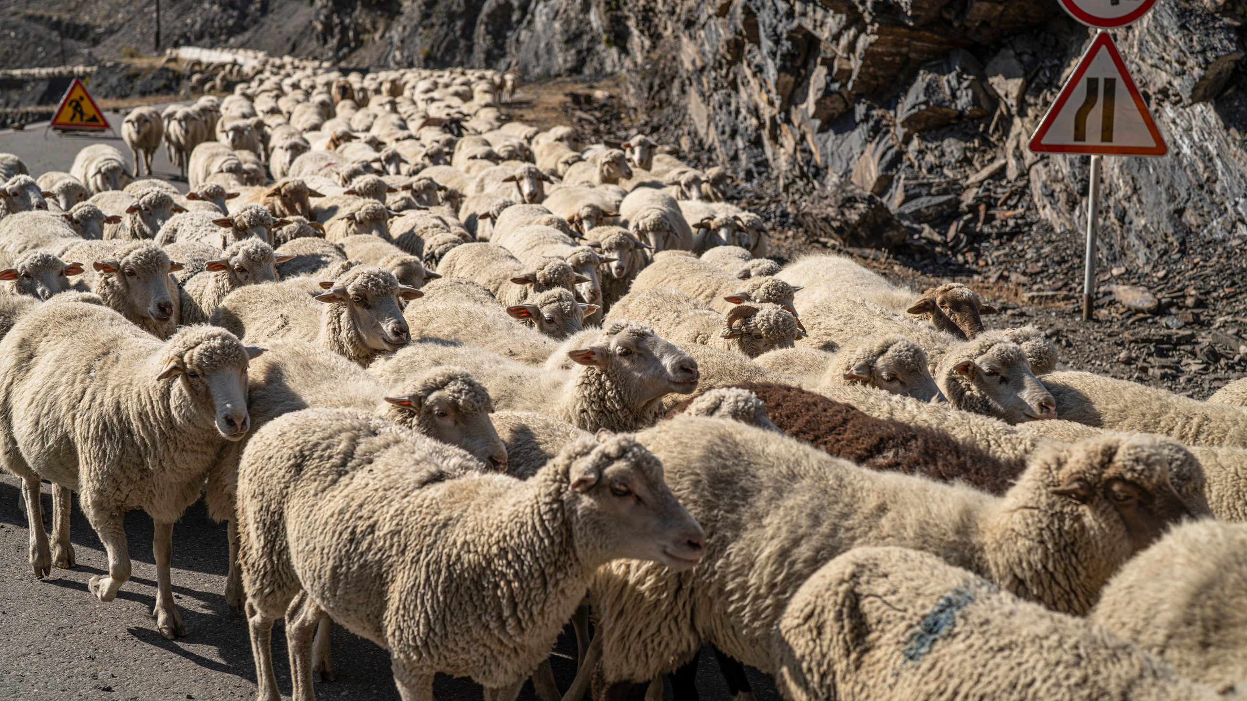 Дагестан (октябрь 2021). Фотограф Сергей Танков