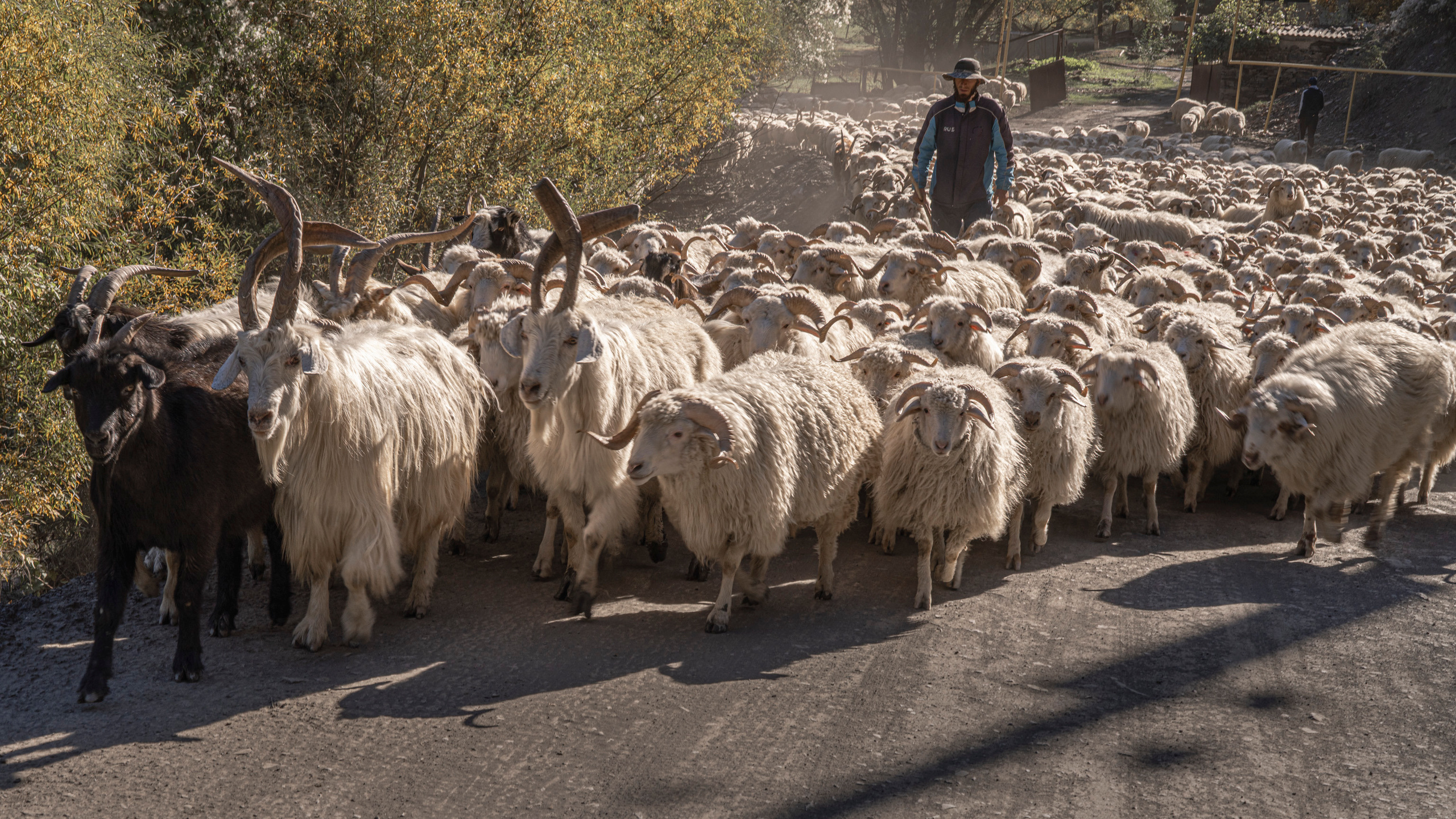 Дагестан (октябрь 2021). Фотограф Сергей Танков