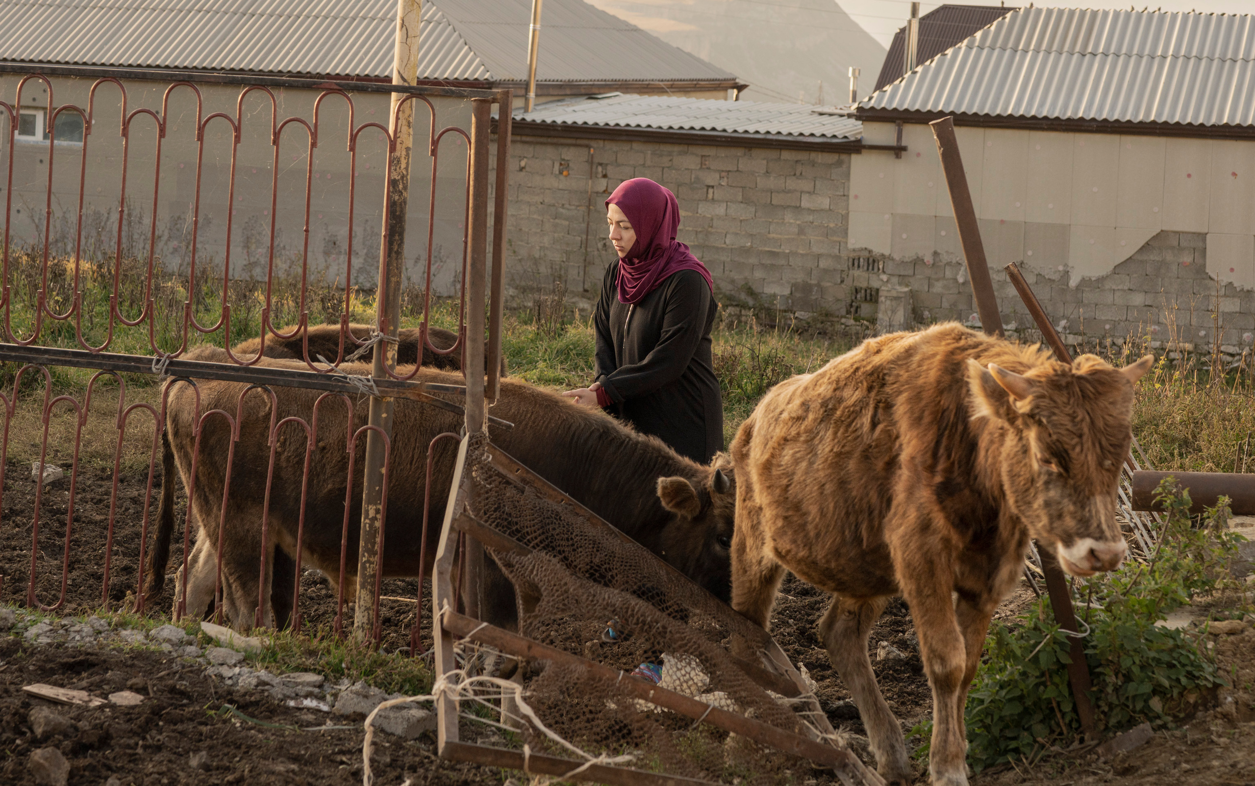 Дагестан (октябрь 2021). Фотограф Сергей Танков