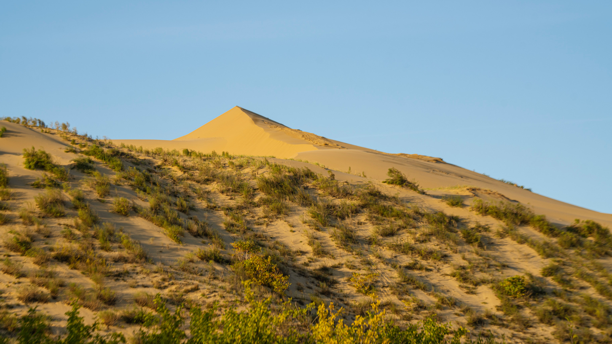 Дагестан (октябрь 2021). Фотограф Сергей Танков