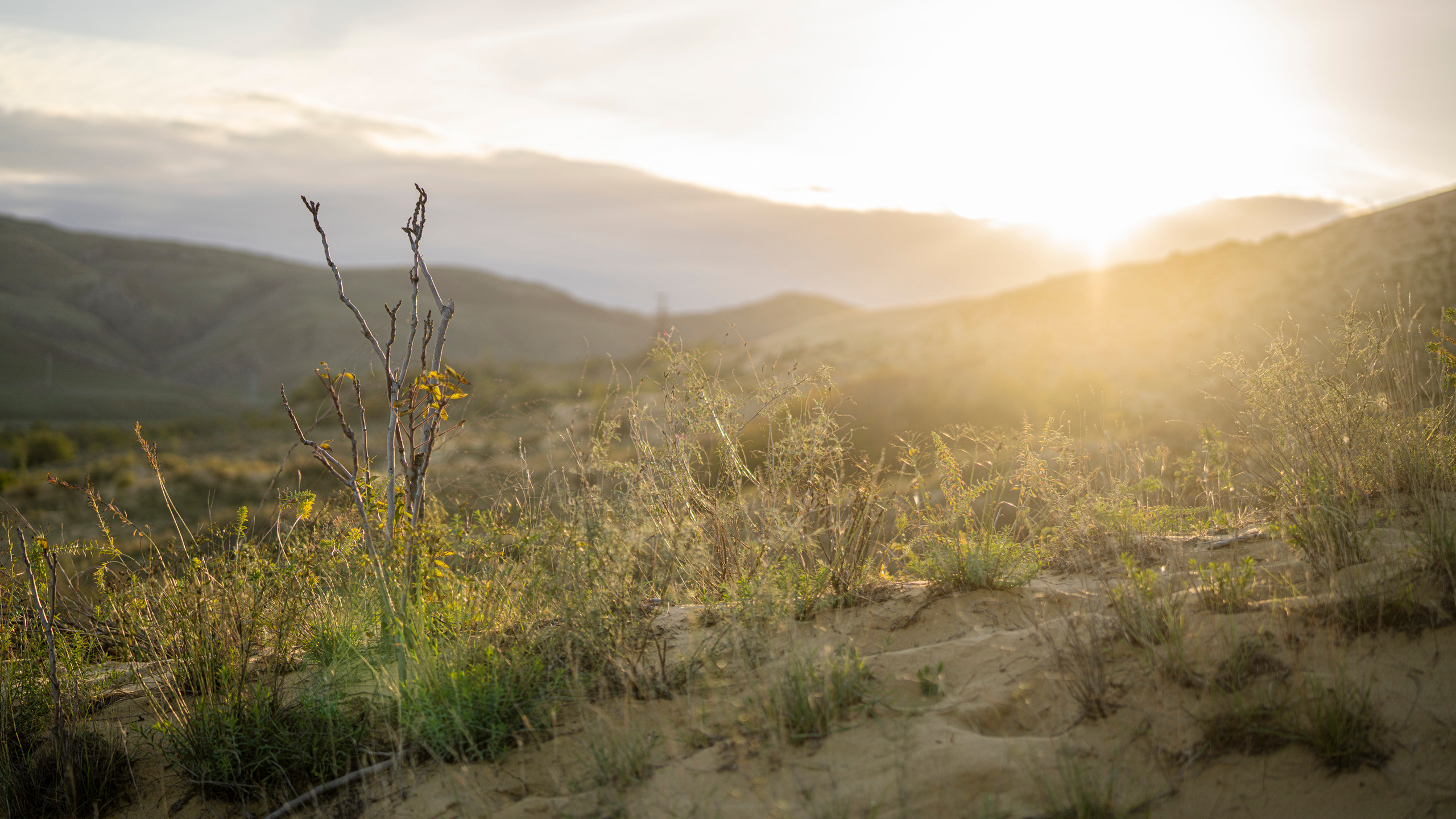 Дагестан (октябрь 2021). Фотограф Сергей Танков