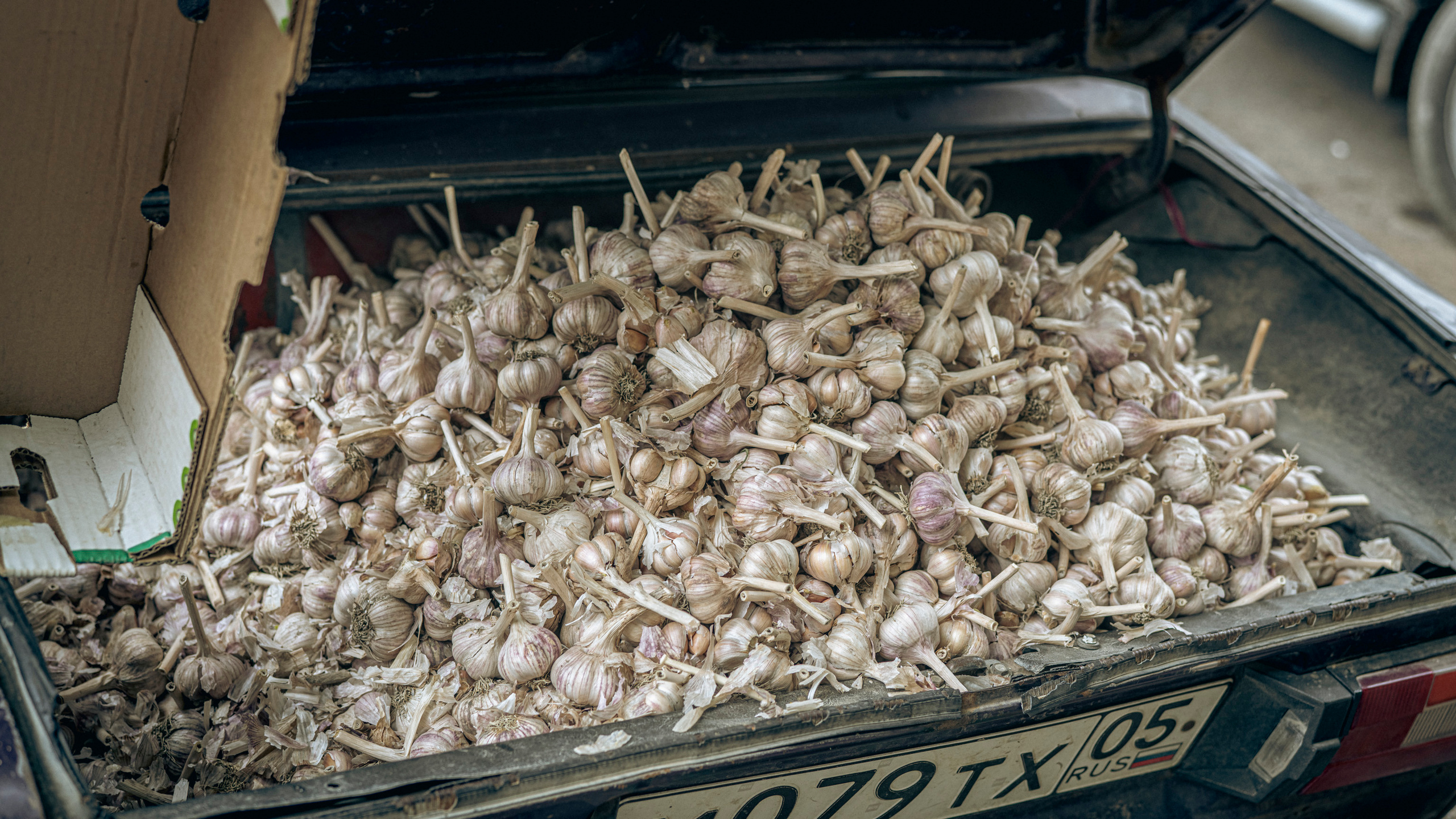 Дагестан (октябрь 2021). Фотограф Сергей Танков