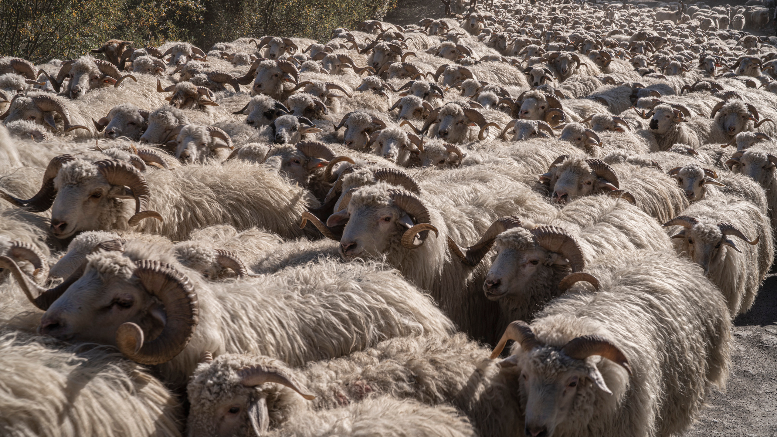 Дагестан (октябрь 2021). Фотограф Сергей Танков
