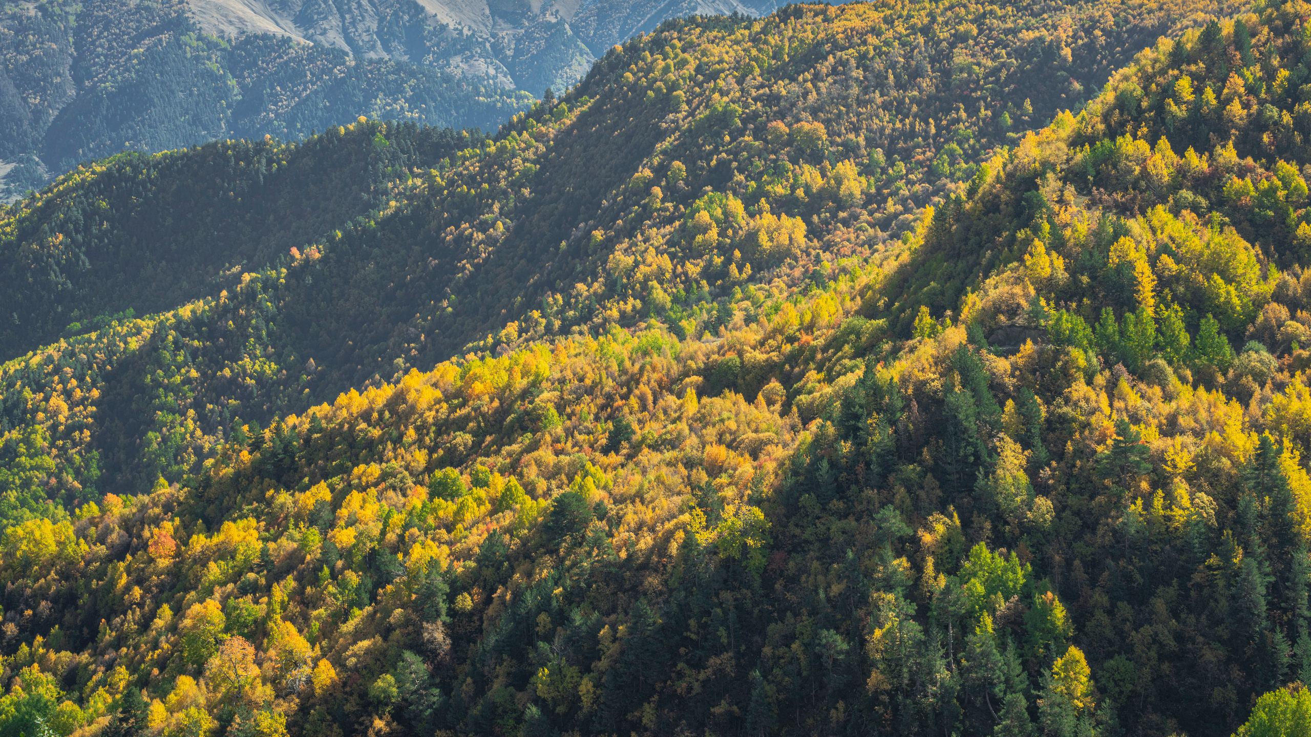 Дагестан (октябрь 2021). Фотограф Сергей Танков