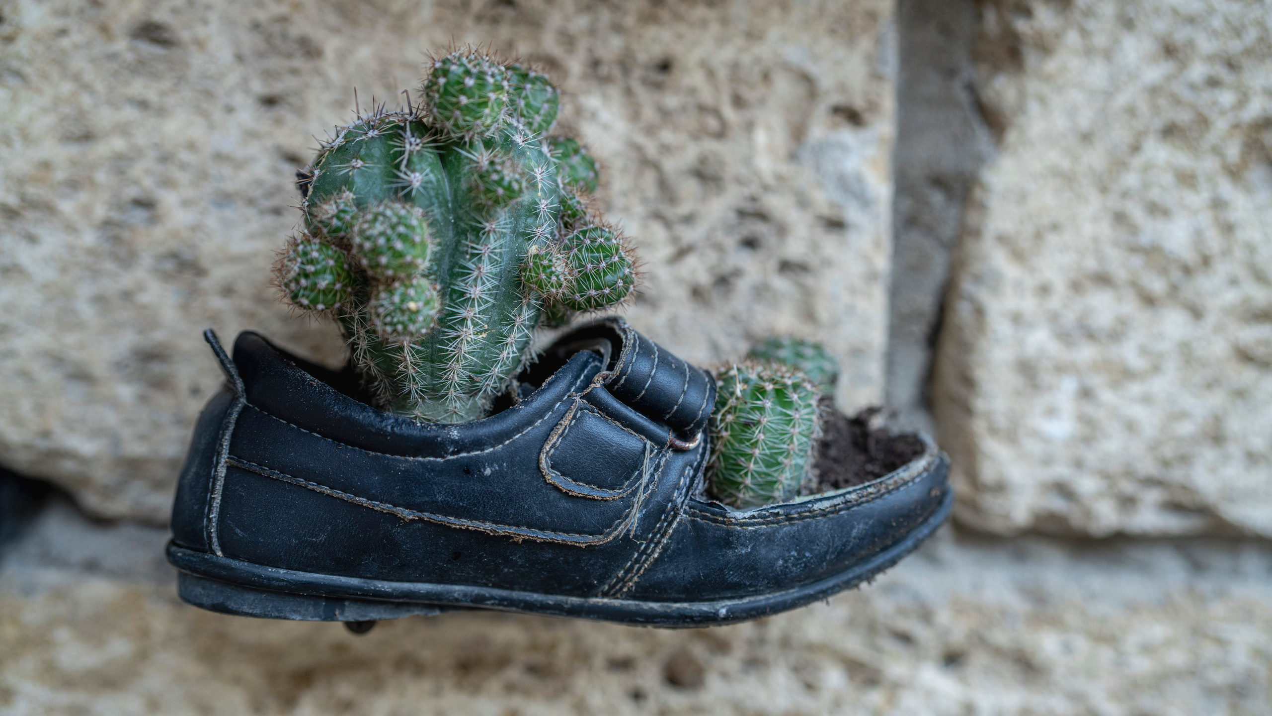 Дагестан (октябрь 2021). Фотограф Сергей Танков