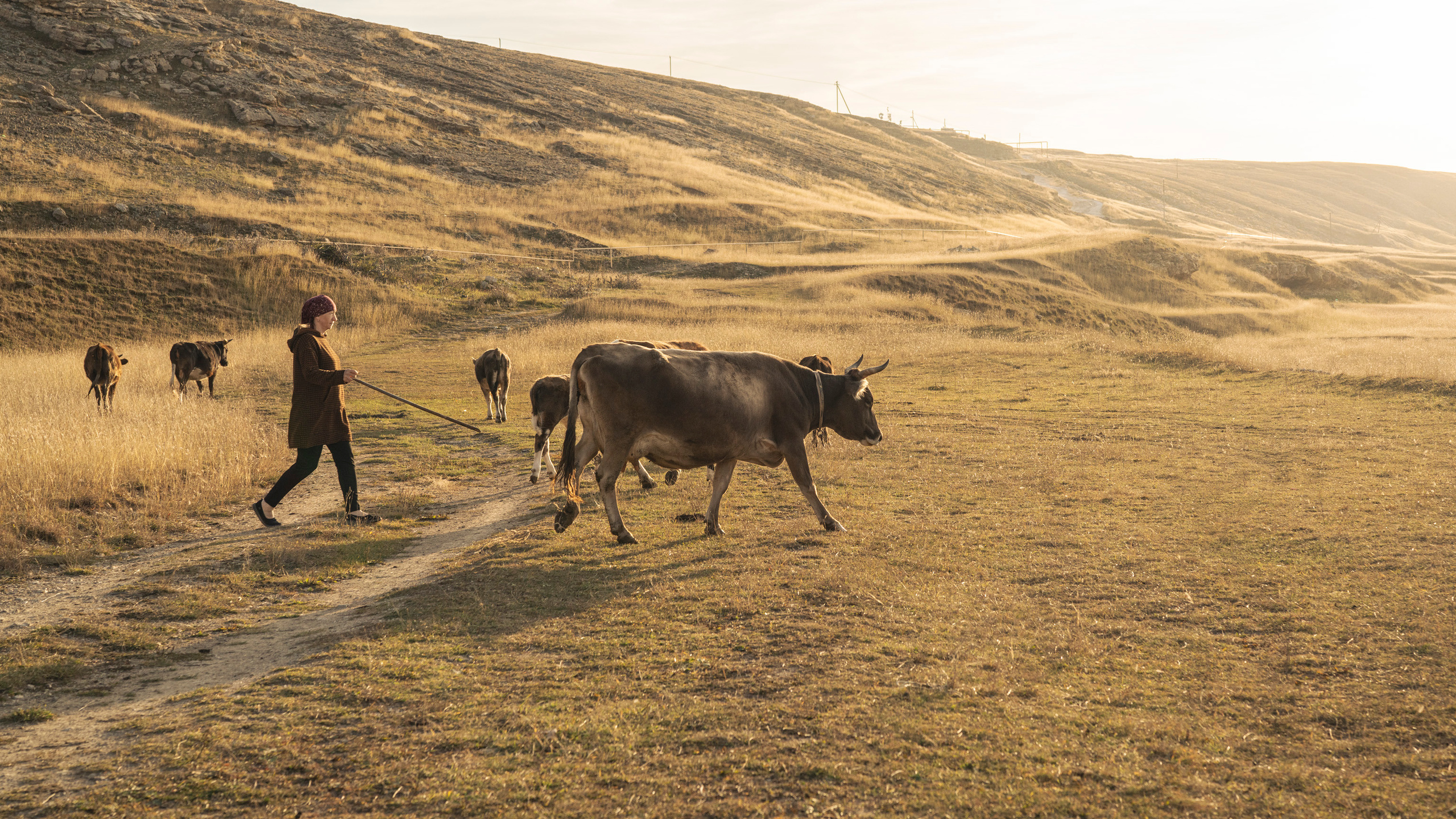 Дагестан (октябрь 2021). Фотограф Сергей Танков