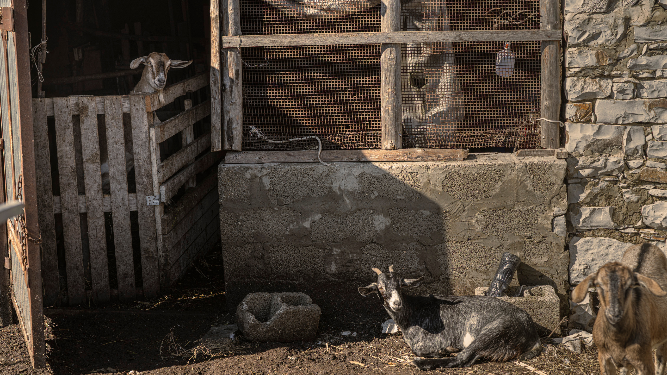 Дагестан (октябрь 2021). Фотограф Сергей Танков