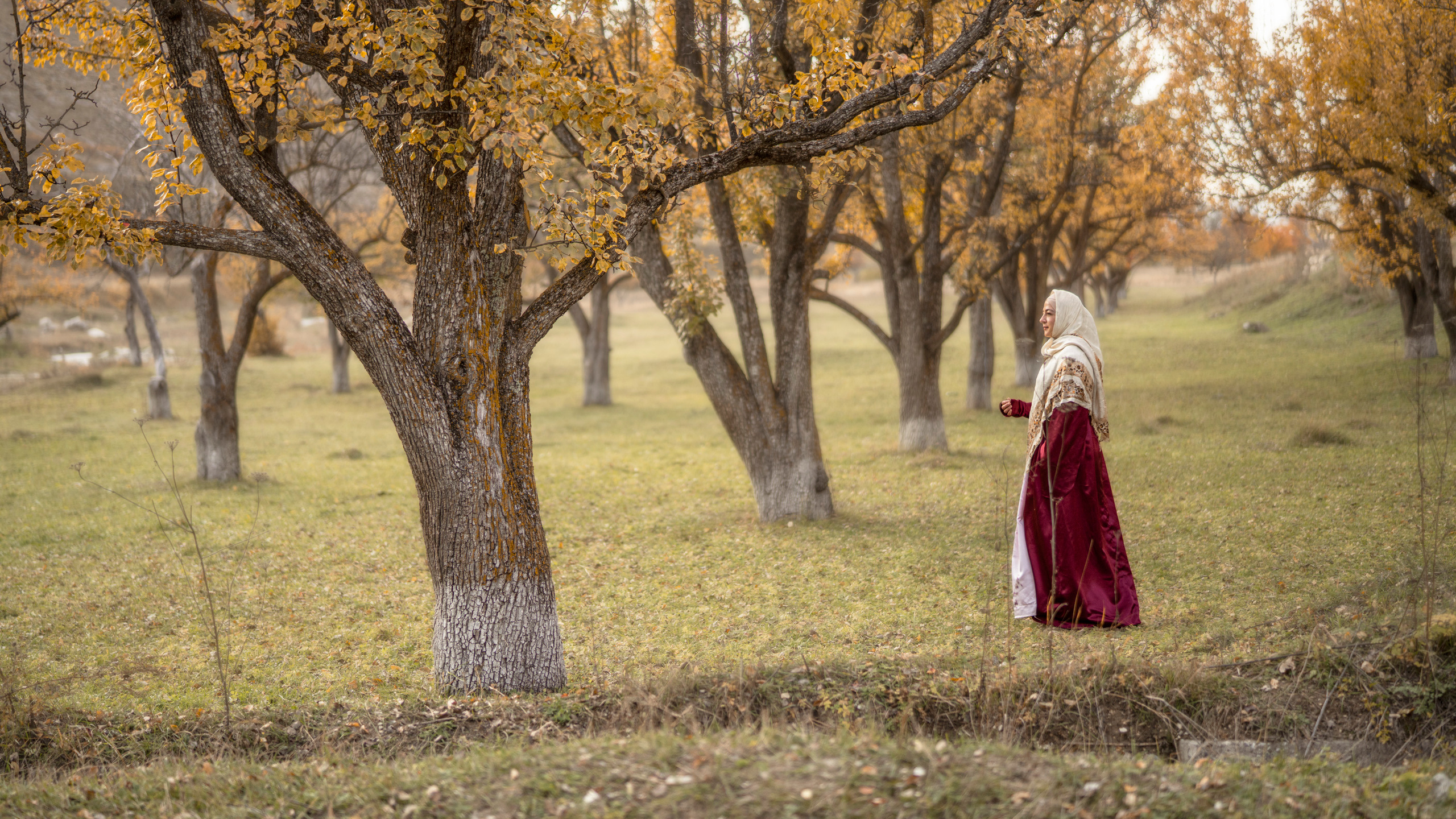 Дагестан (октябрь 2021). Фотограф Сергей Танков