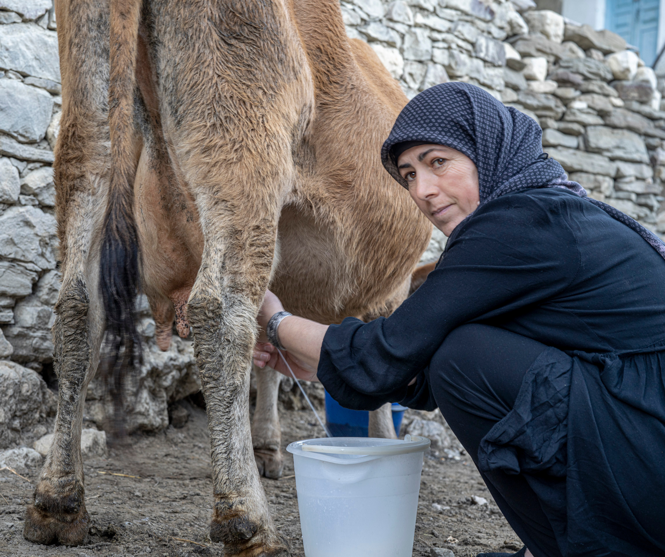 Дагестан (октябрь 2021). Фотограф Сергей Танков