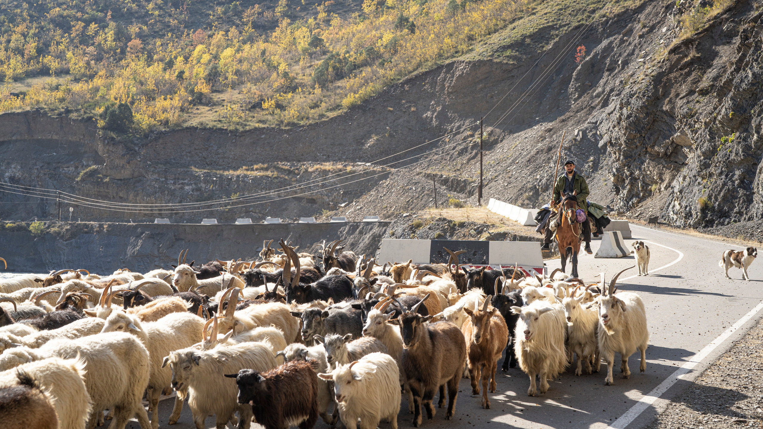 Дагестан (октябрь 2021). Фотограф Сергей Танков