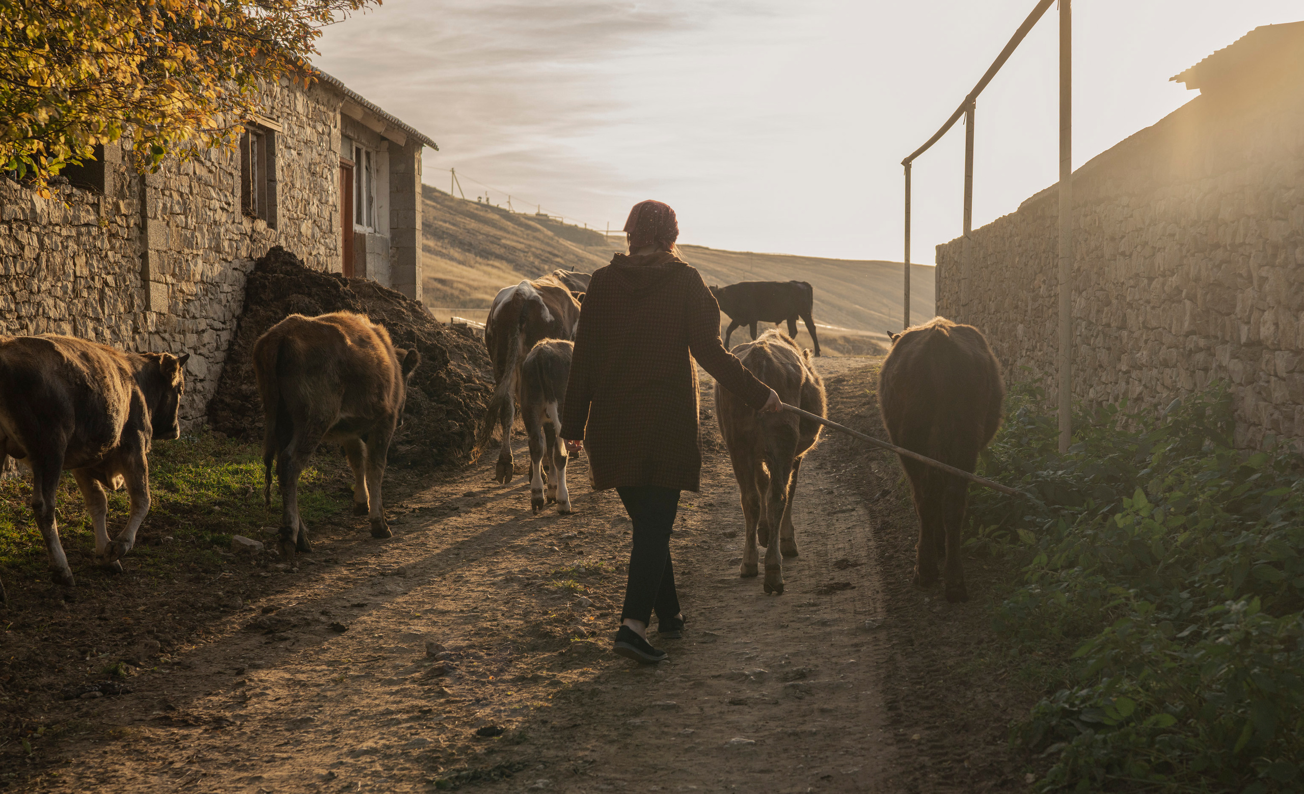 Дагестан (октябрь 2021). Фотограф Сергей Танков
