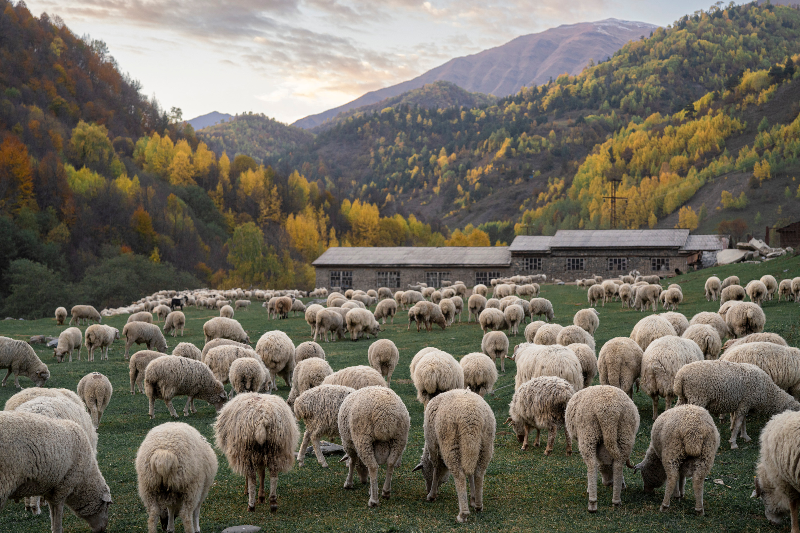 Дагестан (октябрь 2021). Фотограф Сергей Танков