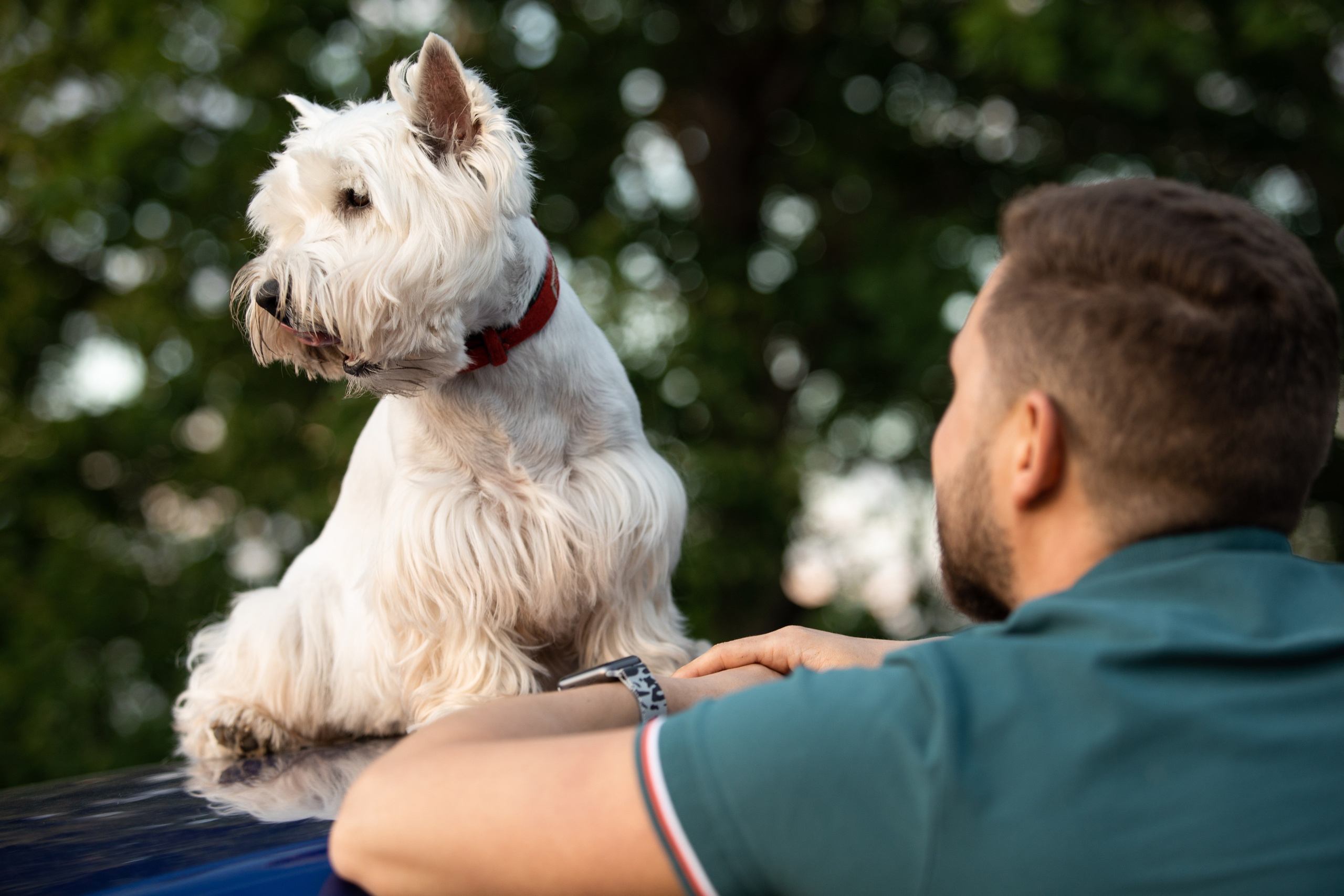 Сторожевое. Свадебный фотограф в Воронеже Александр Пенкин