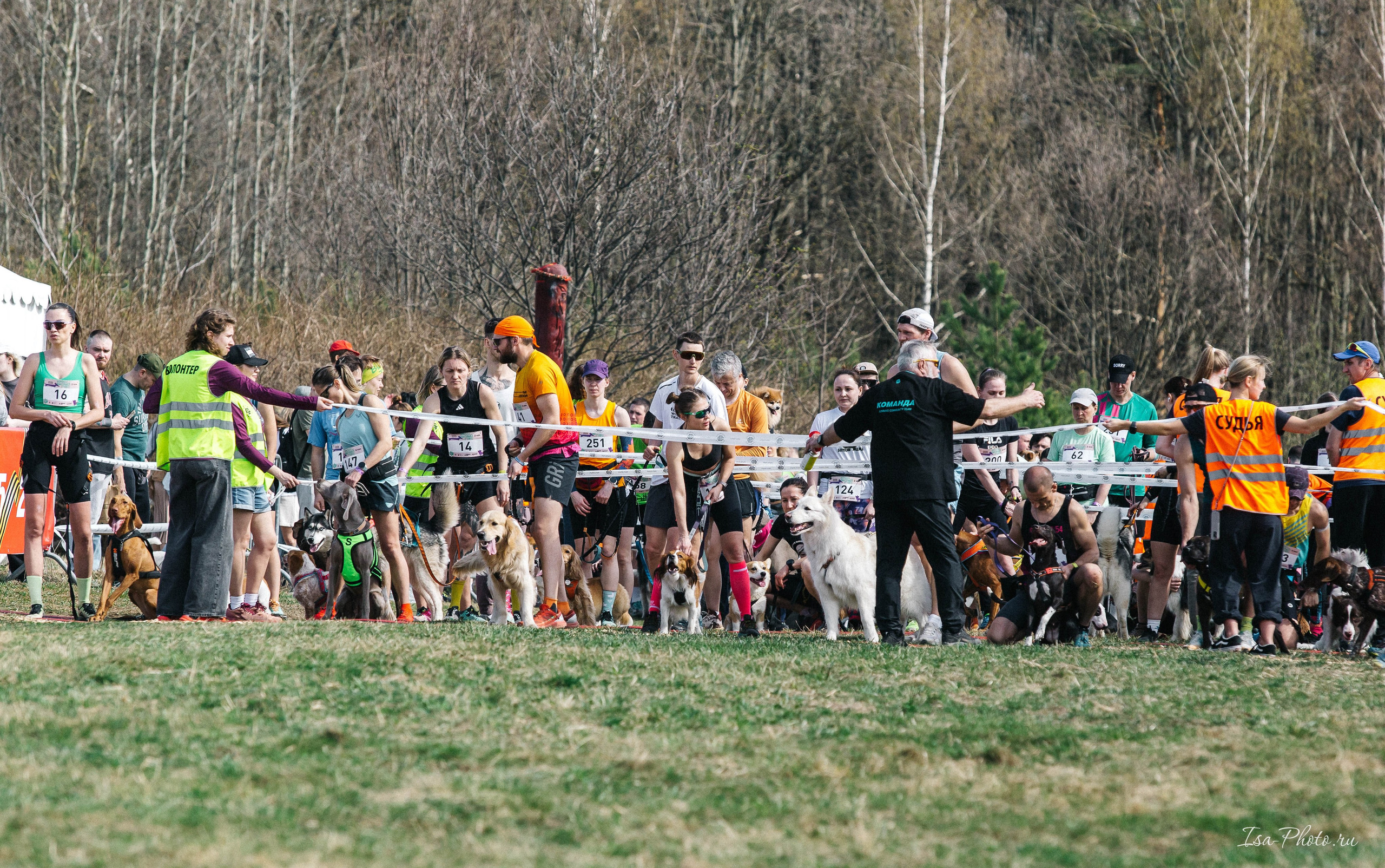 Кросс «Быстрый пёс» 2025. Репортажный фотограф в Москве