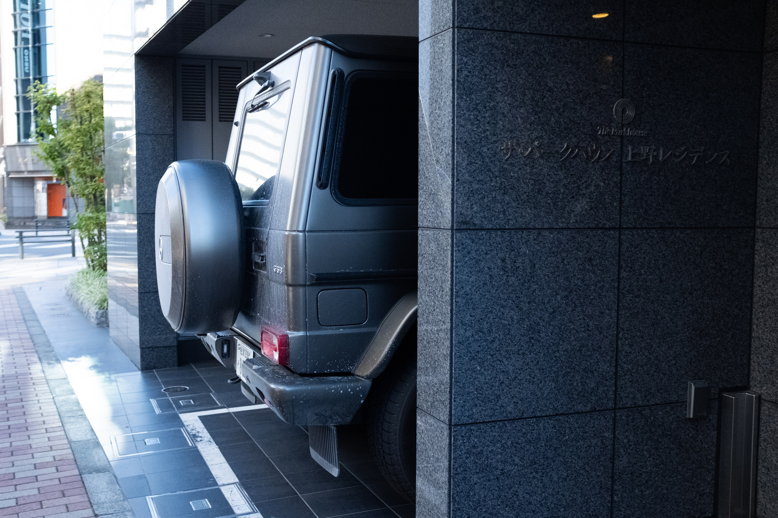 Tokyo. Regina Platonova