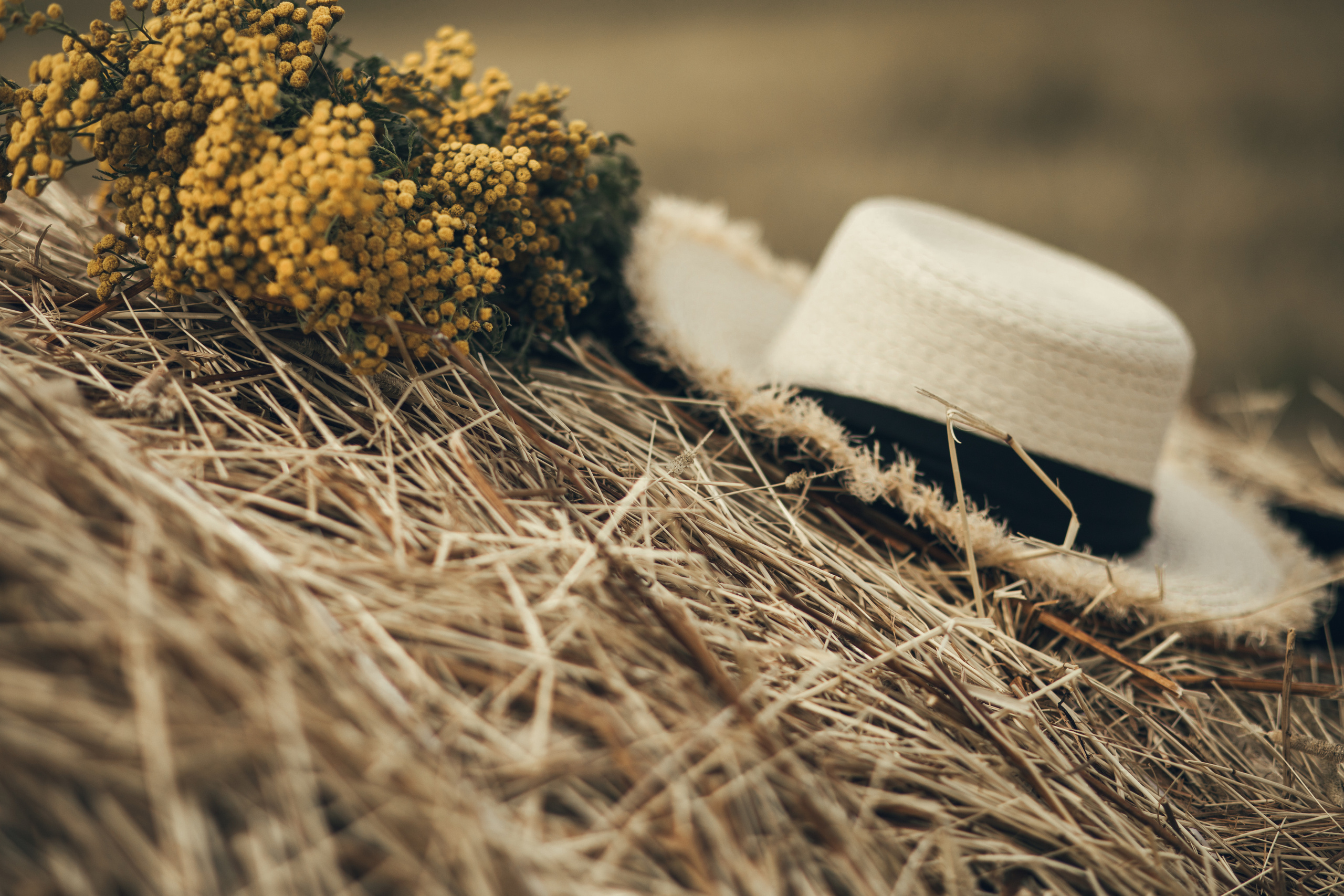 Лето. Яна. Калай Юлия. Фотограф. Москва