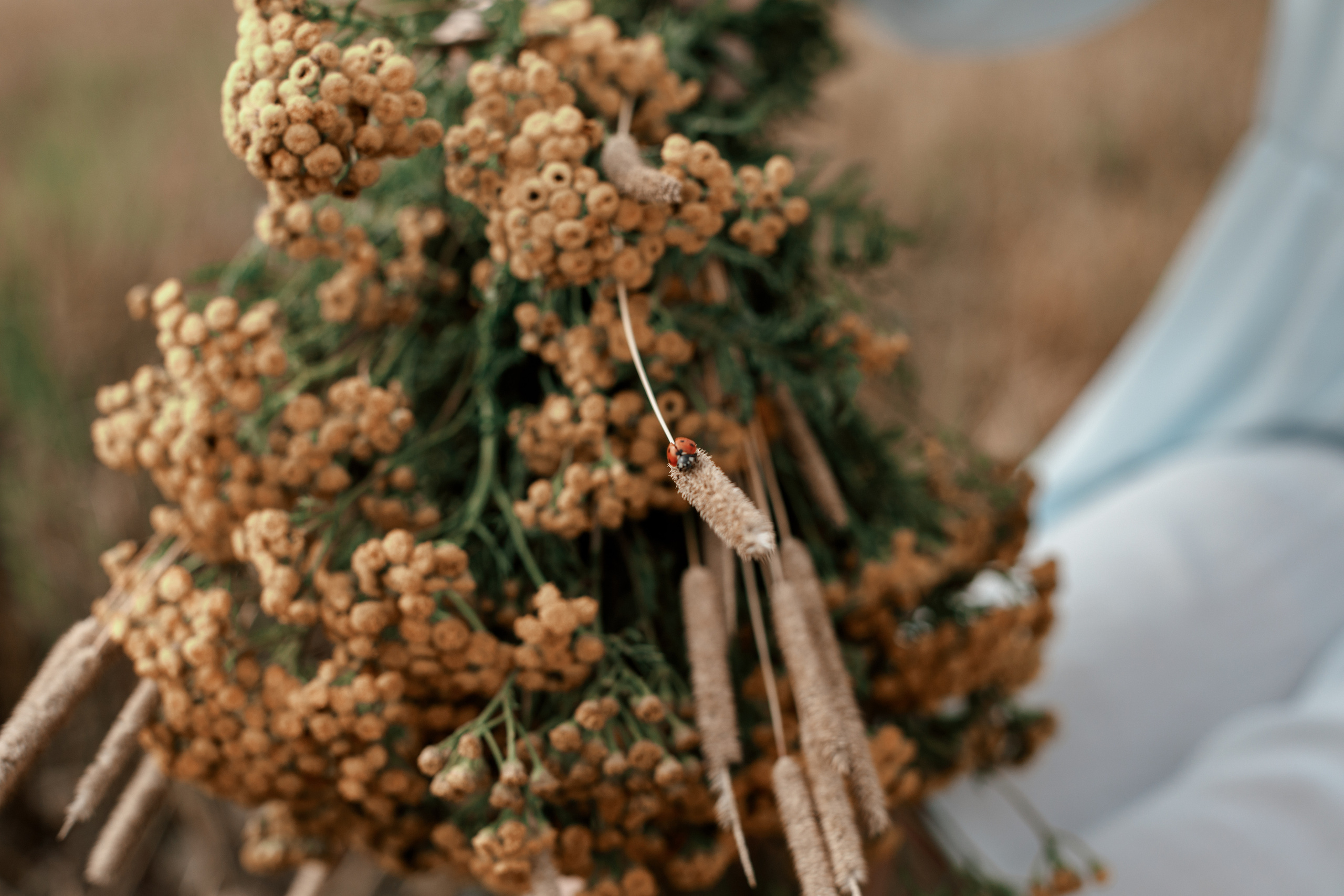 Лето. Яна. Калай Юлия. Фотограф. Москва