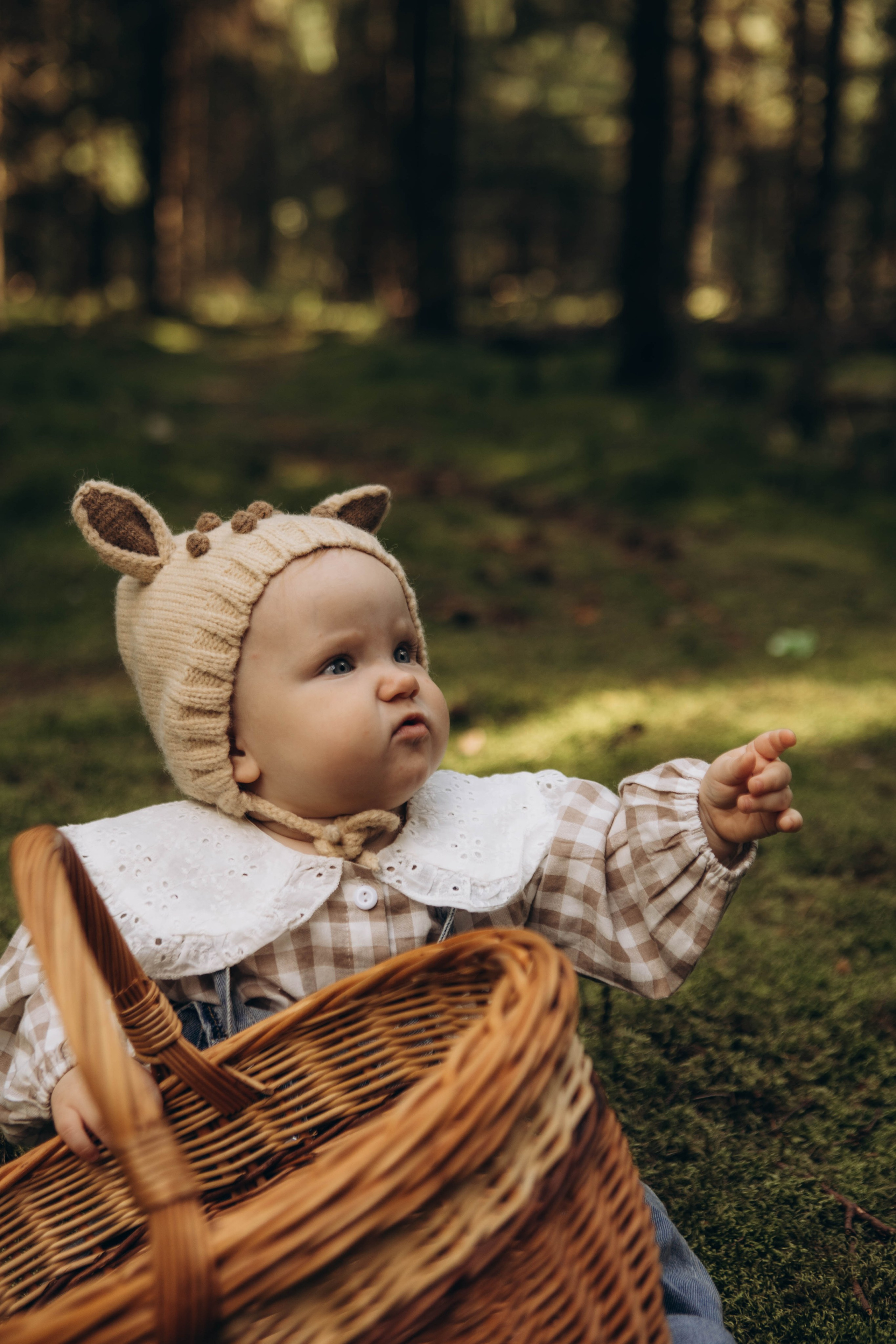 Лесная история. Наталья Косьянова. Ваш фотограф. Москва