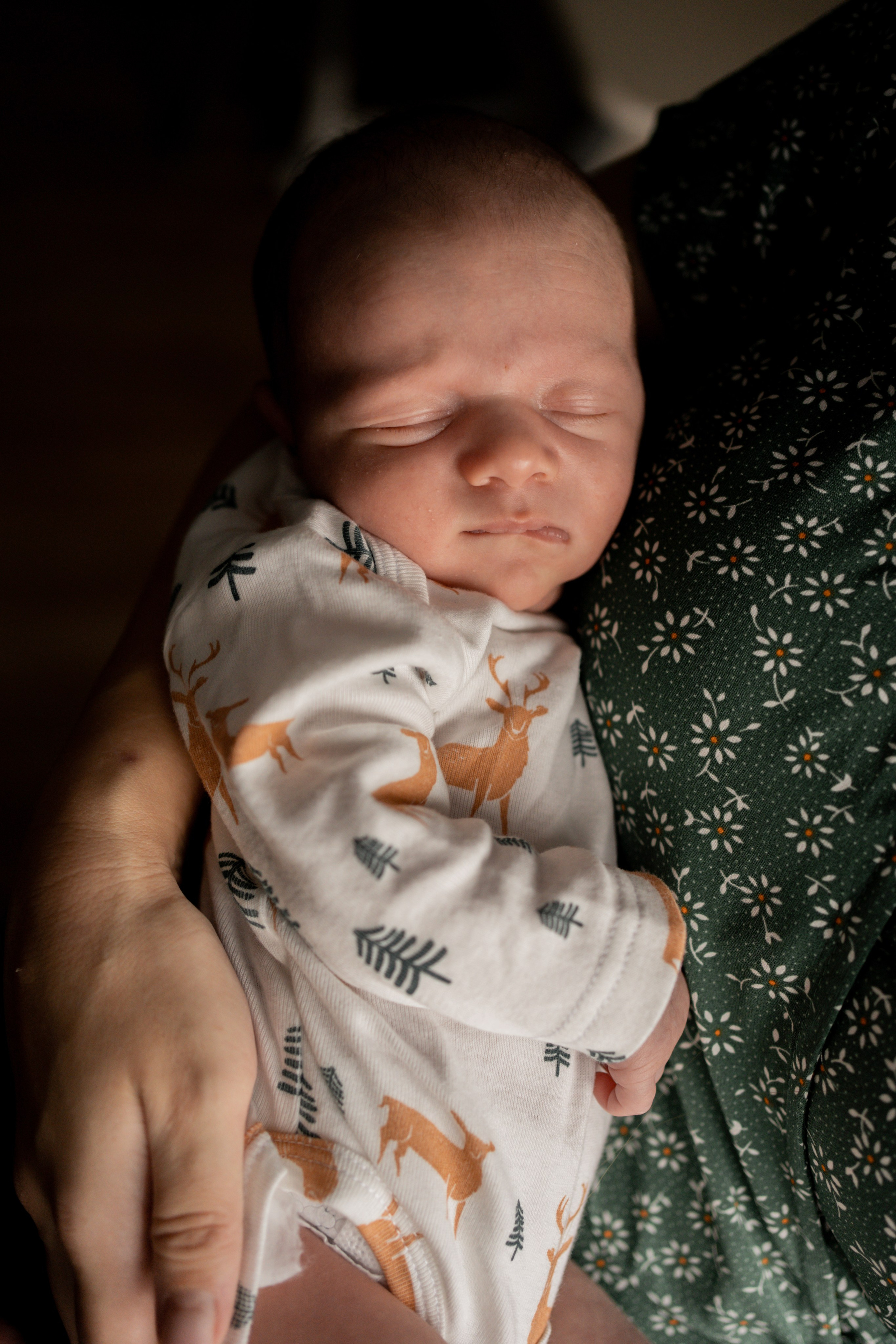 Оля, Коля, Аня, Рита. Фотограф грудного вскармливания в Москве Екатерина