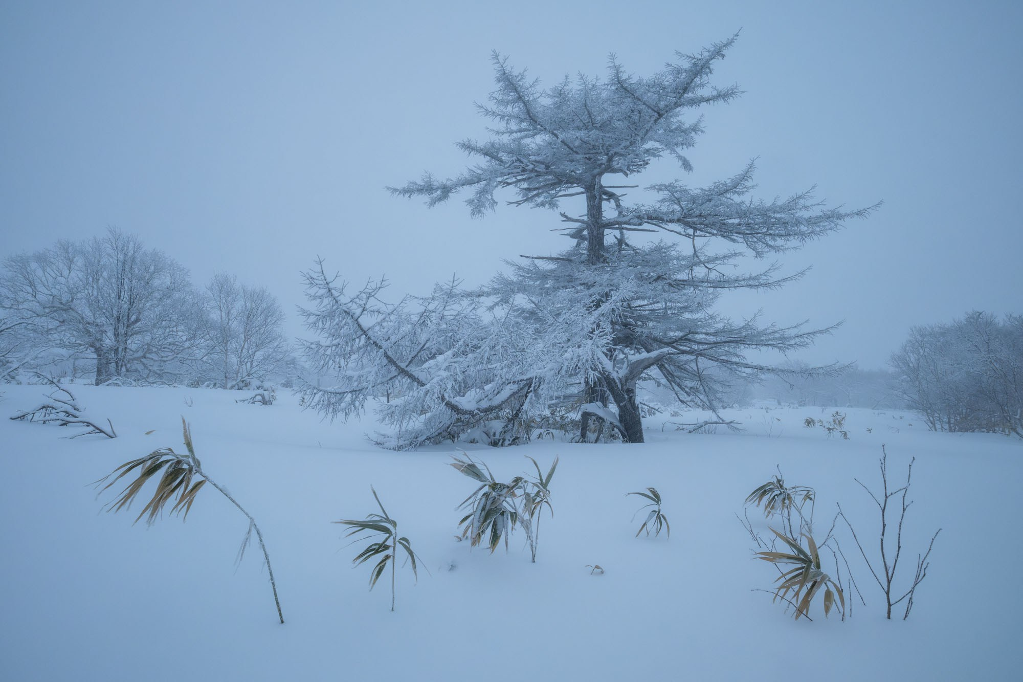 Фотогалерея Зимние Курилы