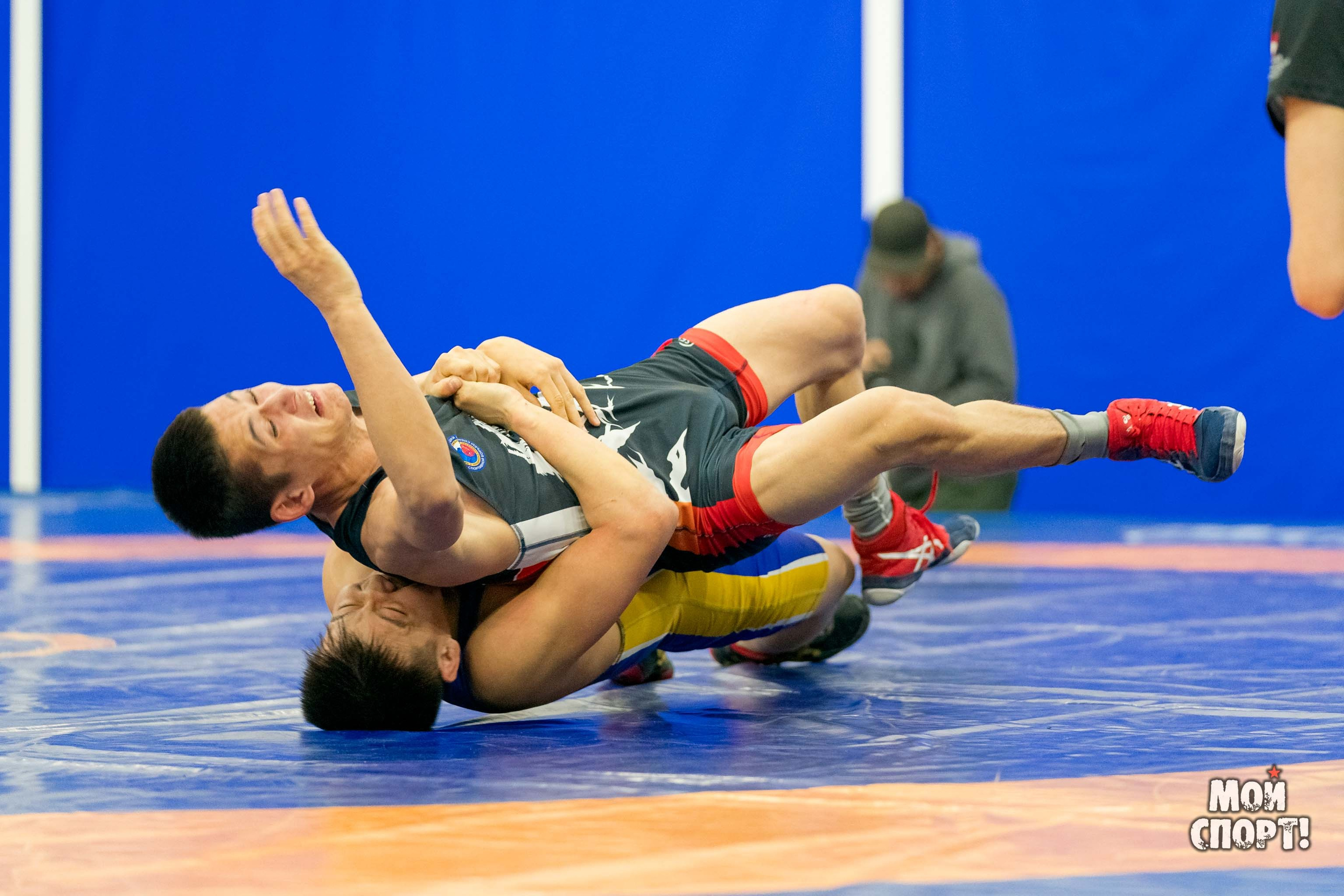 Чемпионат России среди студентов по спортивной борьбе 2024. ГРБ. Студия «Мой Спорт!» — все о спорте в Якутии