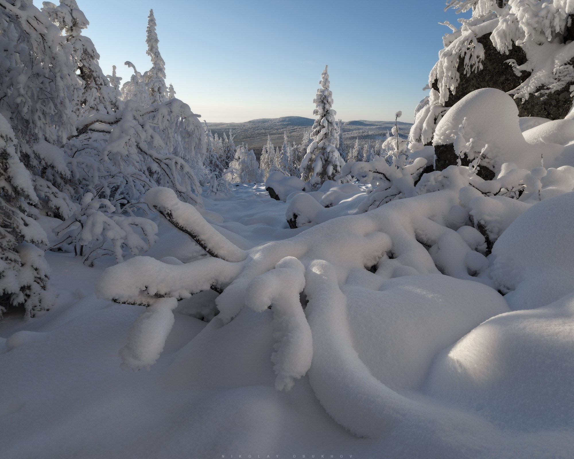 Зимний лес на горе Белая под Нижним Тагилом окутан свежим снегом и утренней тишиной. 