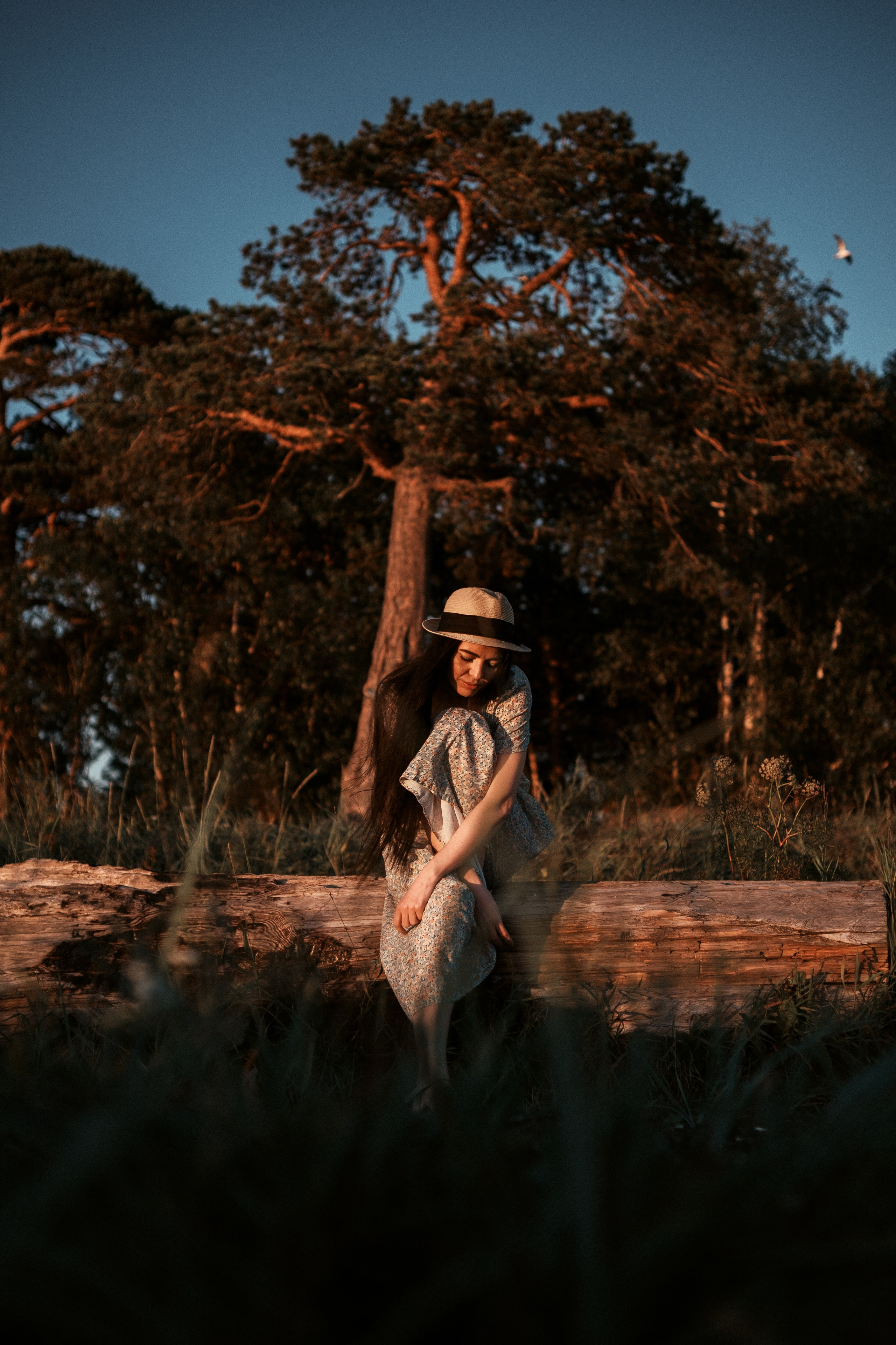 Фото. Фотограф|Видеограф Архангельск | Северодвинск | Новодвинск