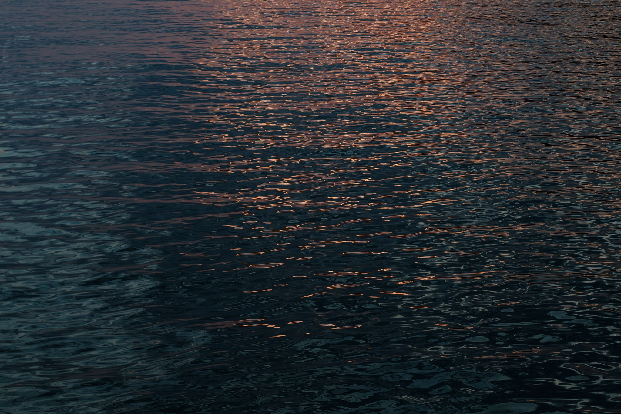 Фотограф Владимир Кононенко