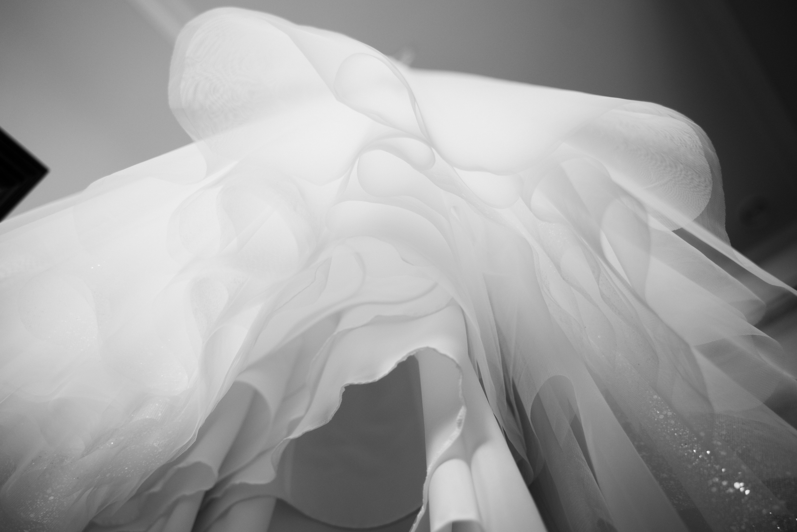 Катерина и Александр. Портретный и свадебный фотограф Алла Карени Москва