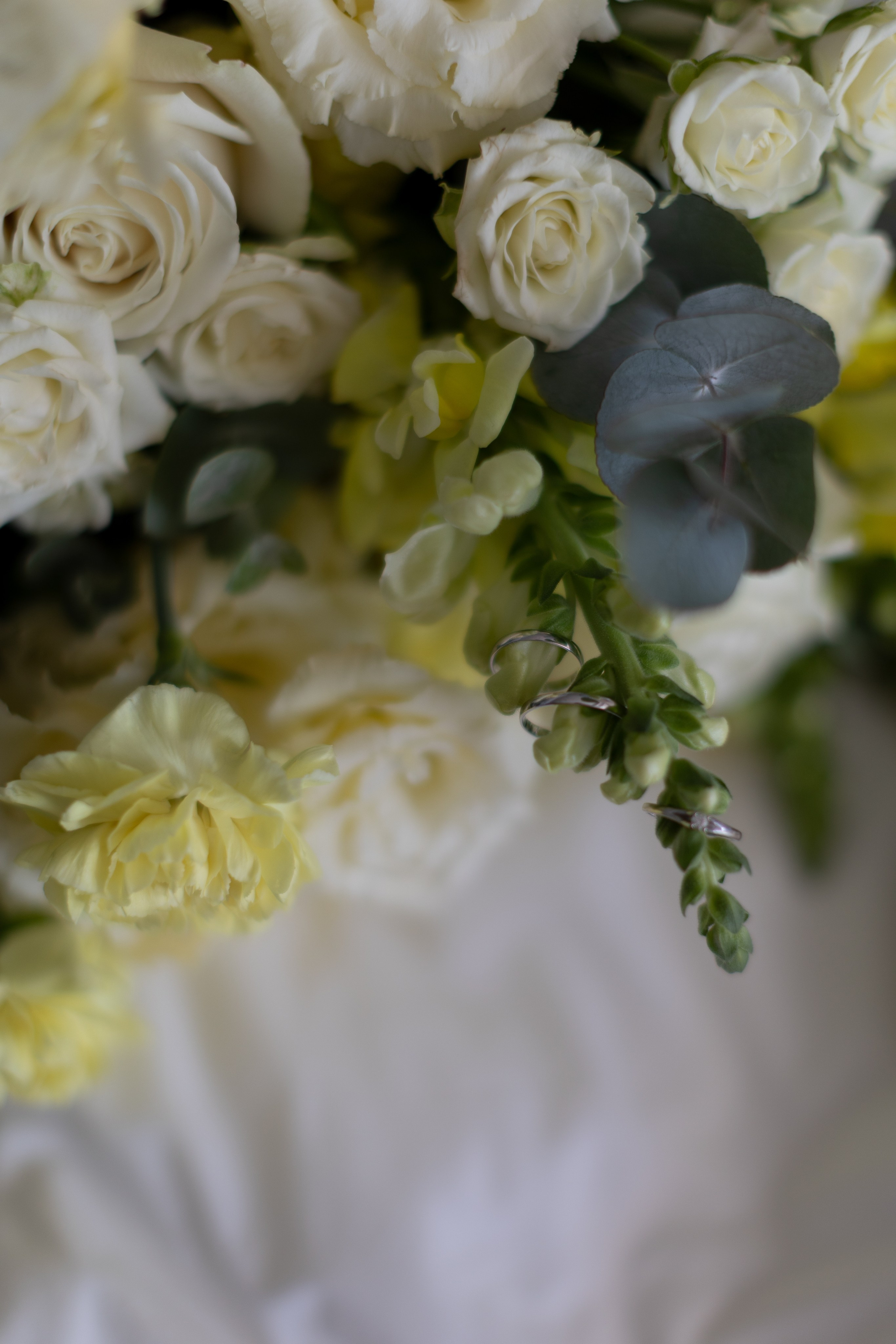 Лесная. Главная