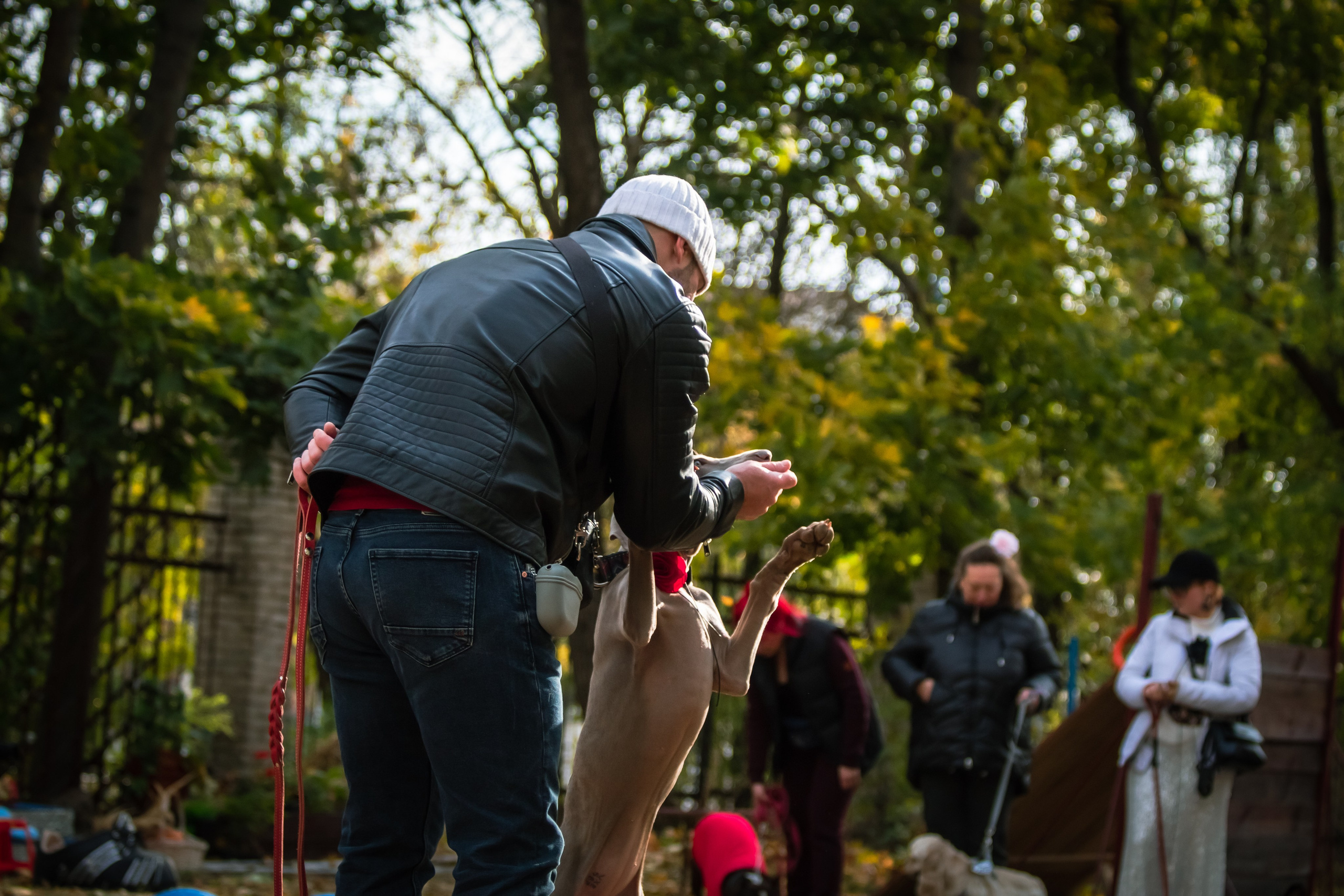 Костюмированный парад собак. Фотограф анималист — Тула, Москва