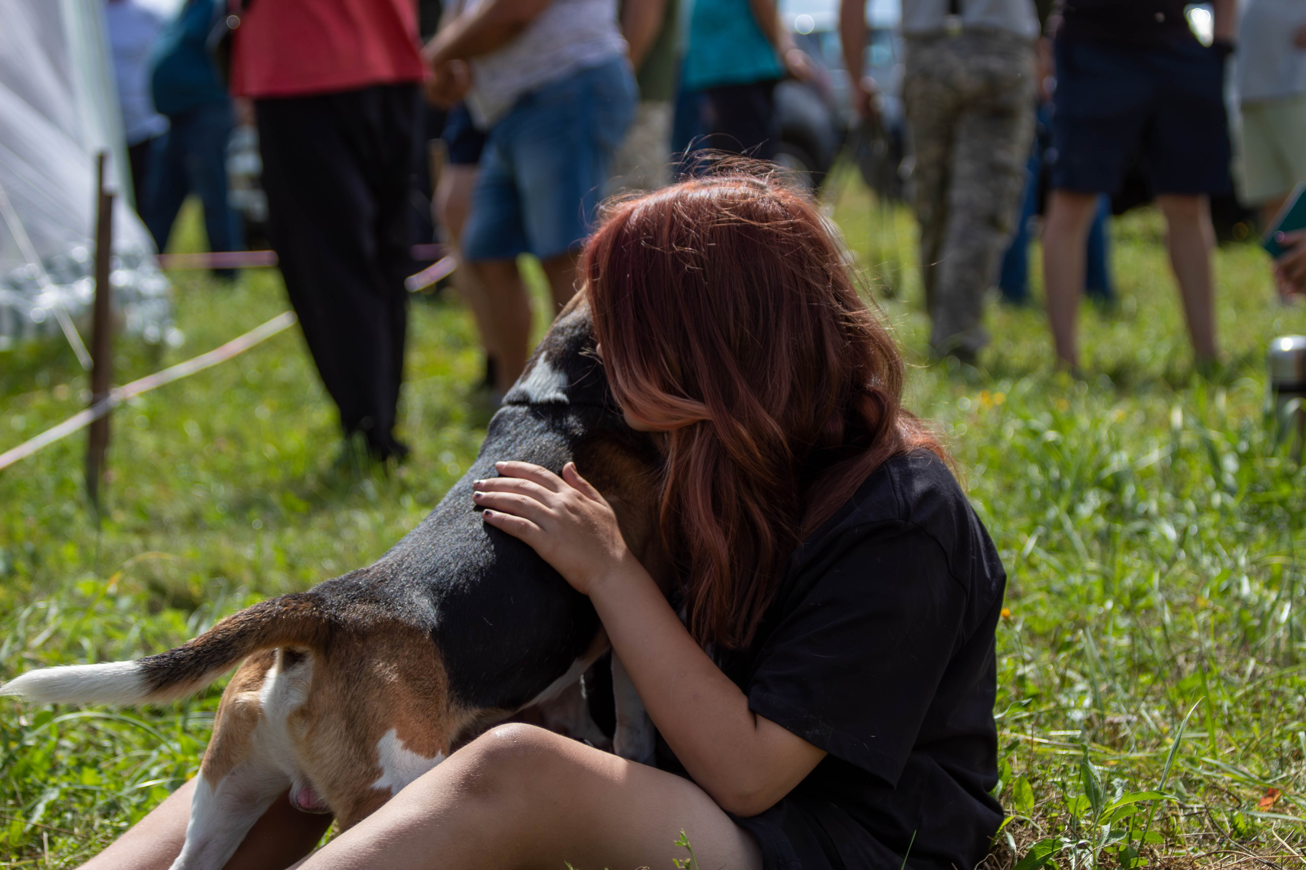 Репортажная съемка в Туле. Фотограф анималист — Тула, Москва