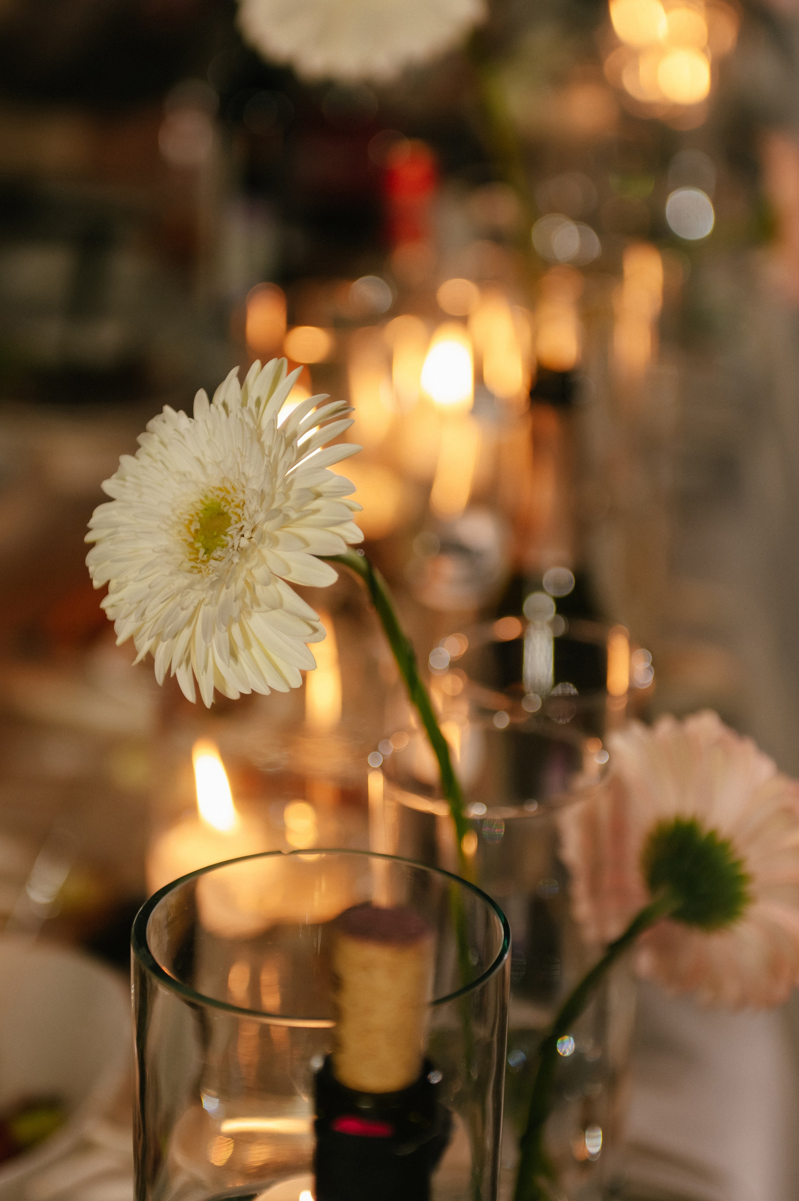 Никита и Настя (Серебряное озеро). Свадебный, женский, семейный фотограф в Севастополе Юлия Мошенко