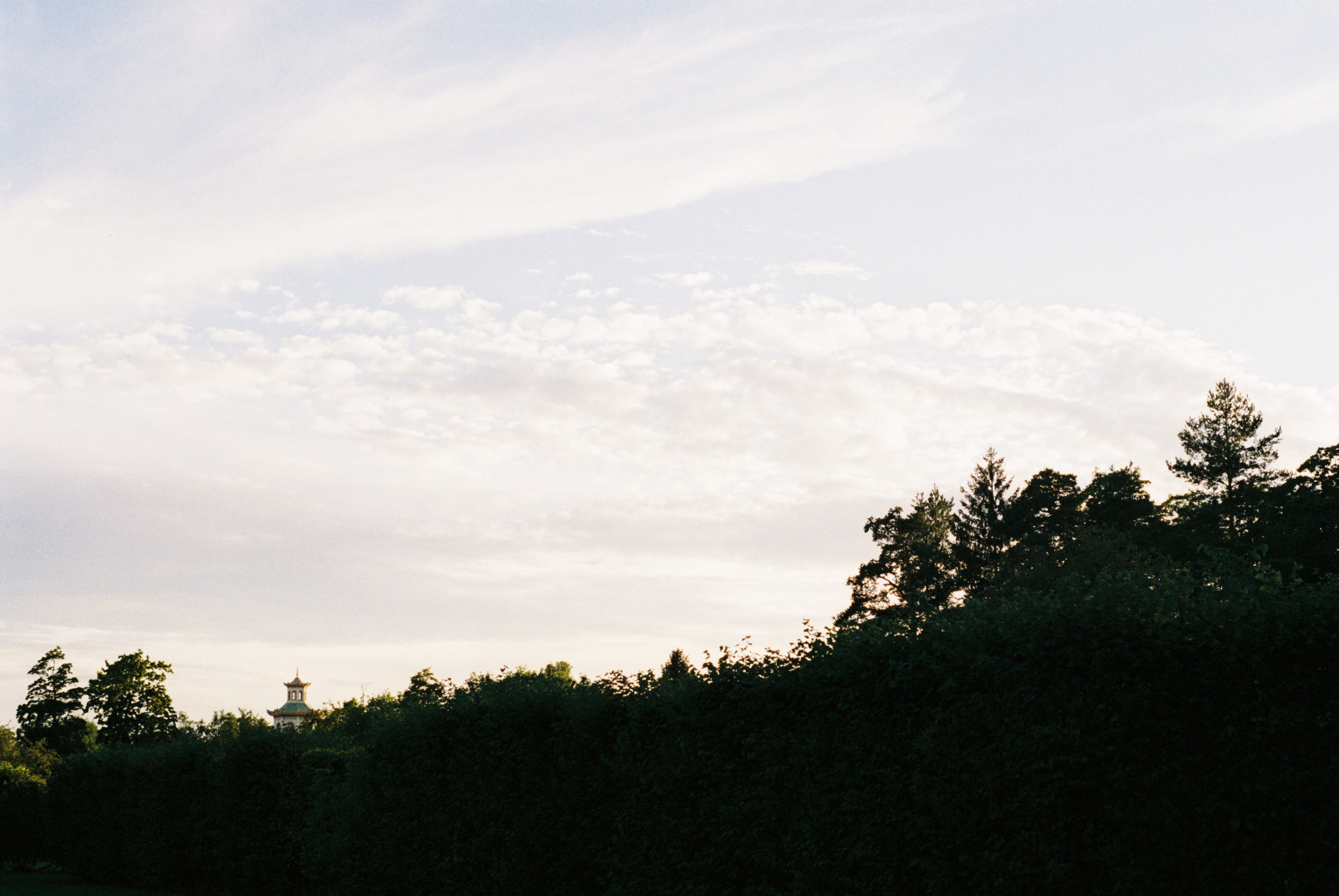 Film. Ruslan UI Dev Page