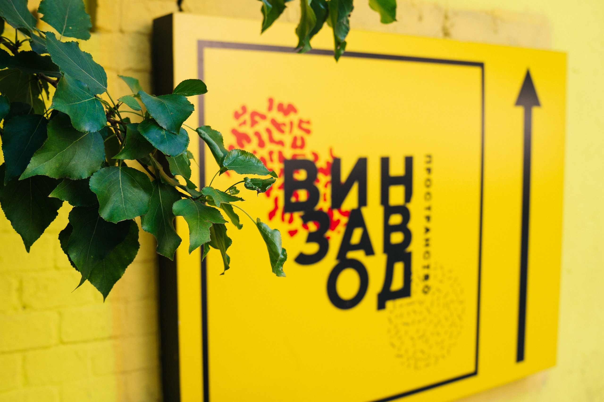 Встреча татуировщиков. Фотограф в Воронеже Ольга Космодемьянская