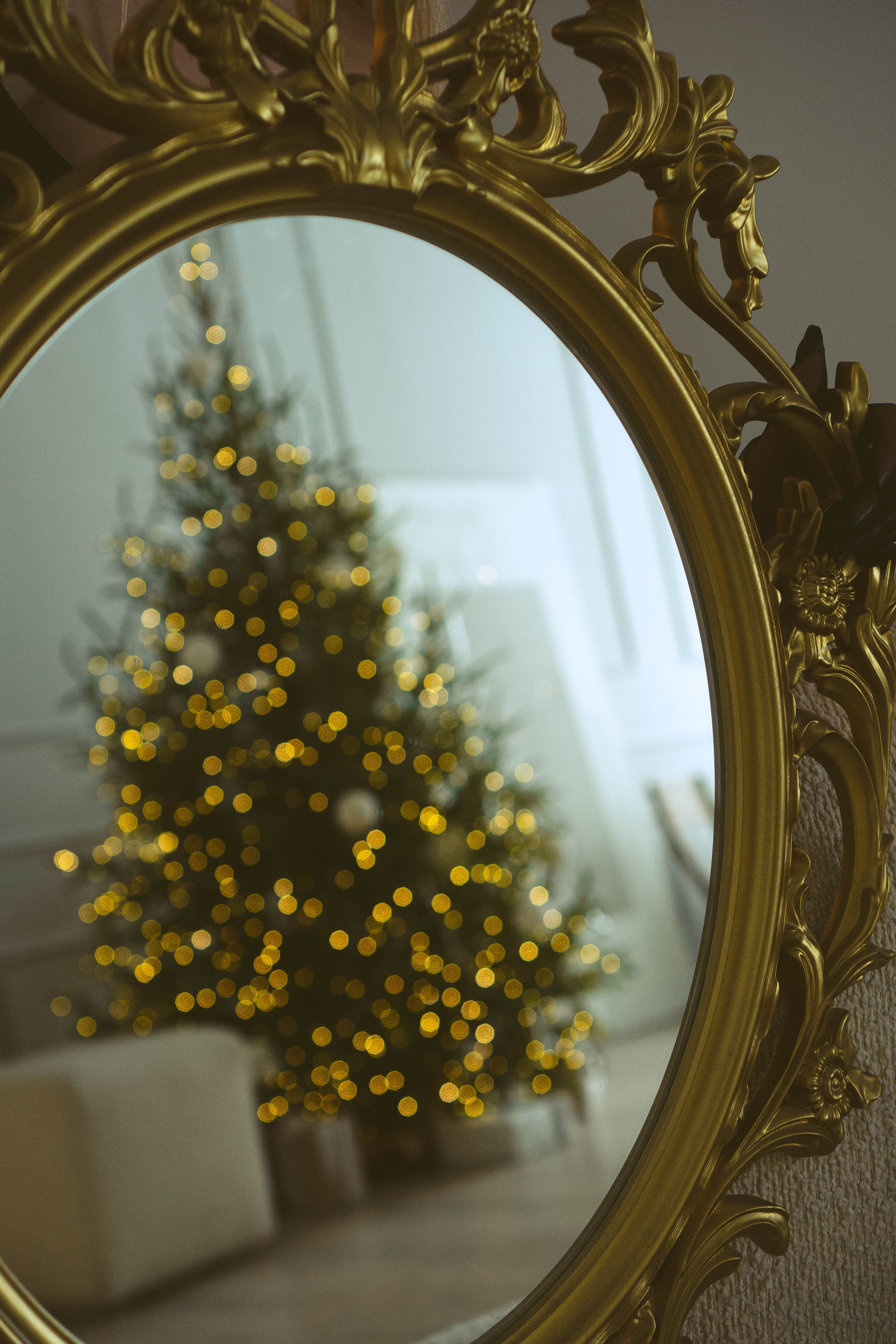 Новогодняя. Профессиональный фотограф, Санкт-Петербург — Виктория Богомолова