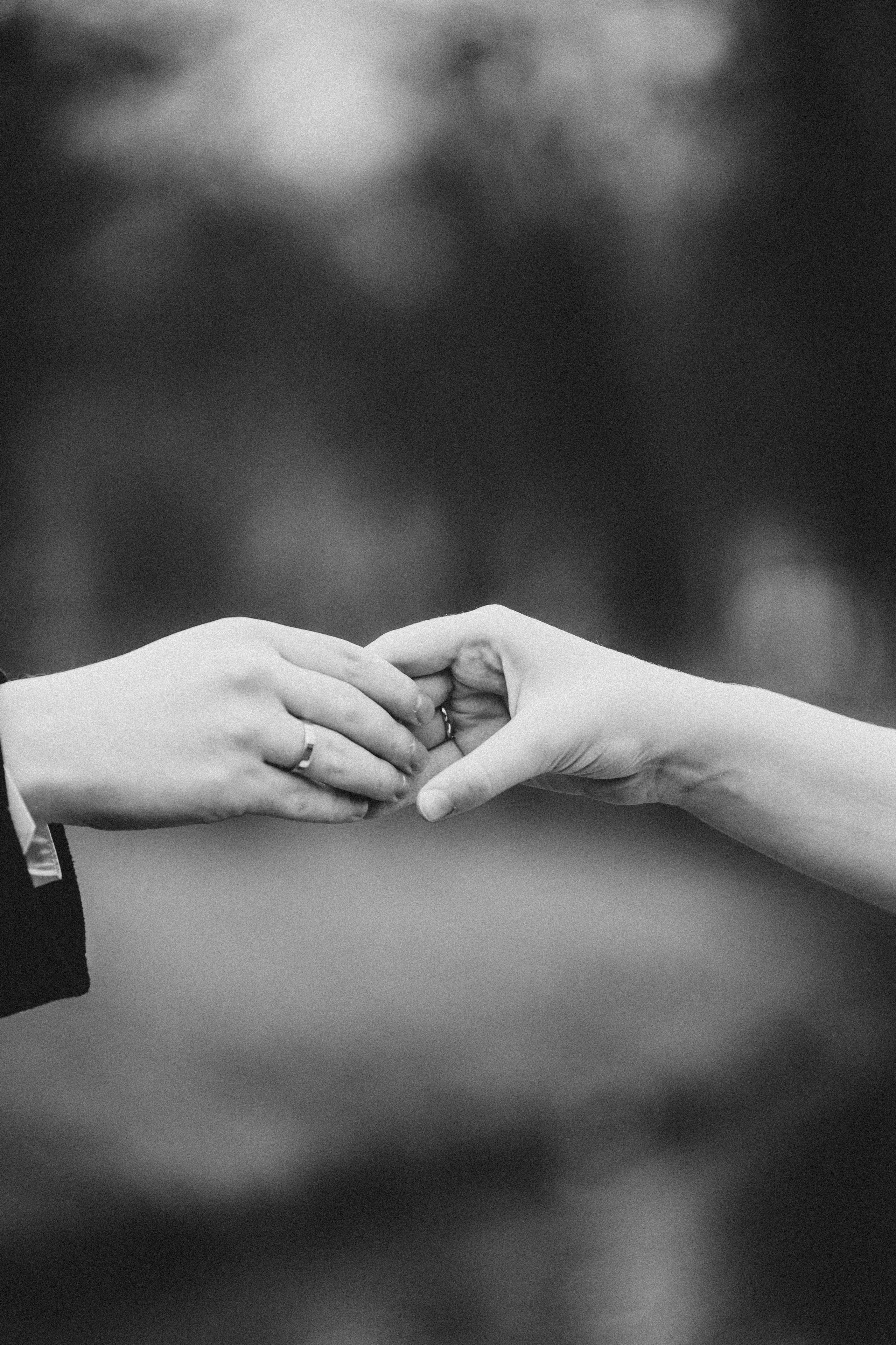 СВАДЕБНАЯ ВО ВТОРОМ ДВОРЦЕ И ПРОГУЛКА В ТАВРИЧЕСКОМ САДУ ЧБ. Профессиональный фотограф, Санкт-Петербург — Виктория Богомолова