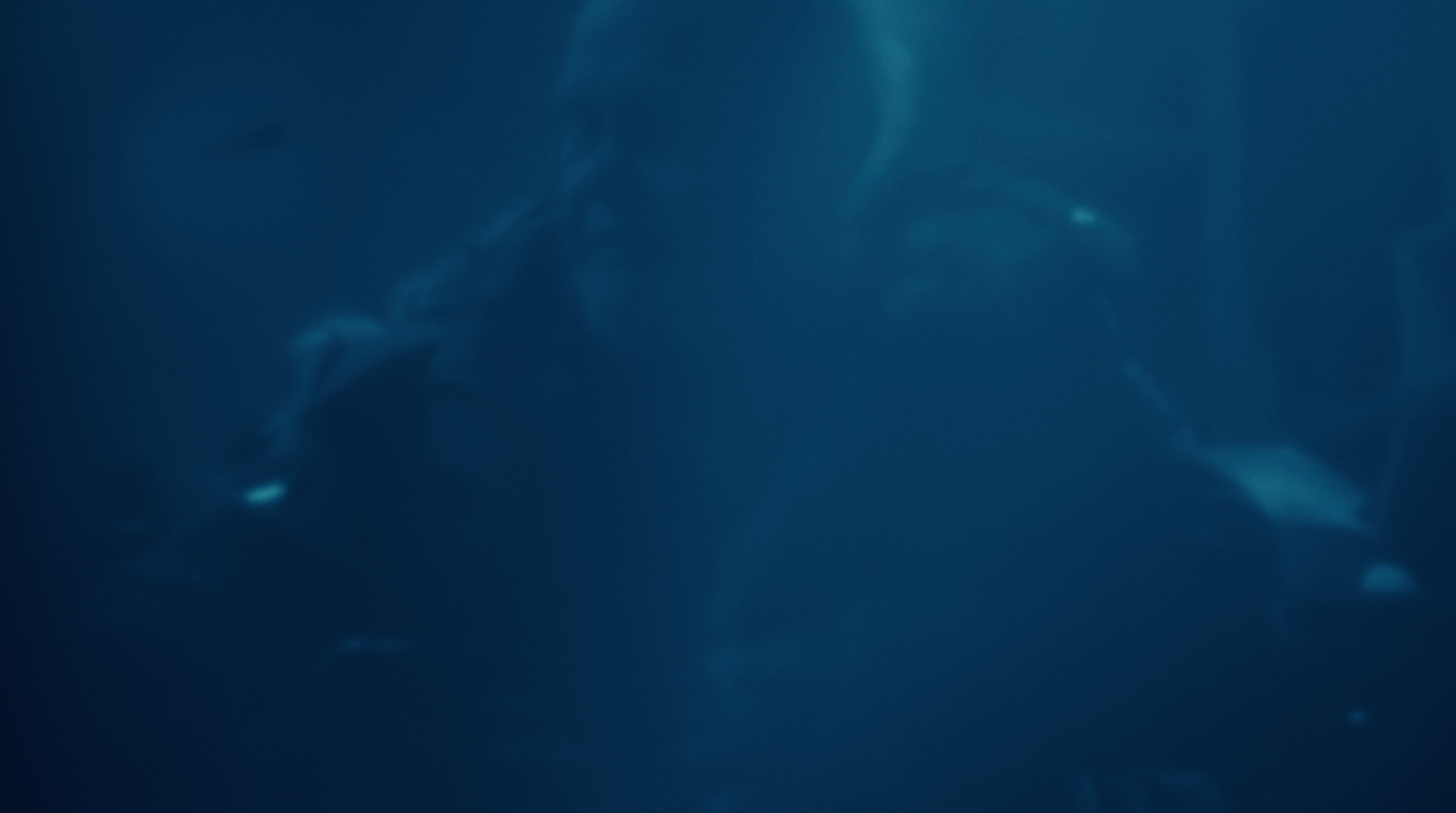 If you become human, who will swim for you. Tokcolor