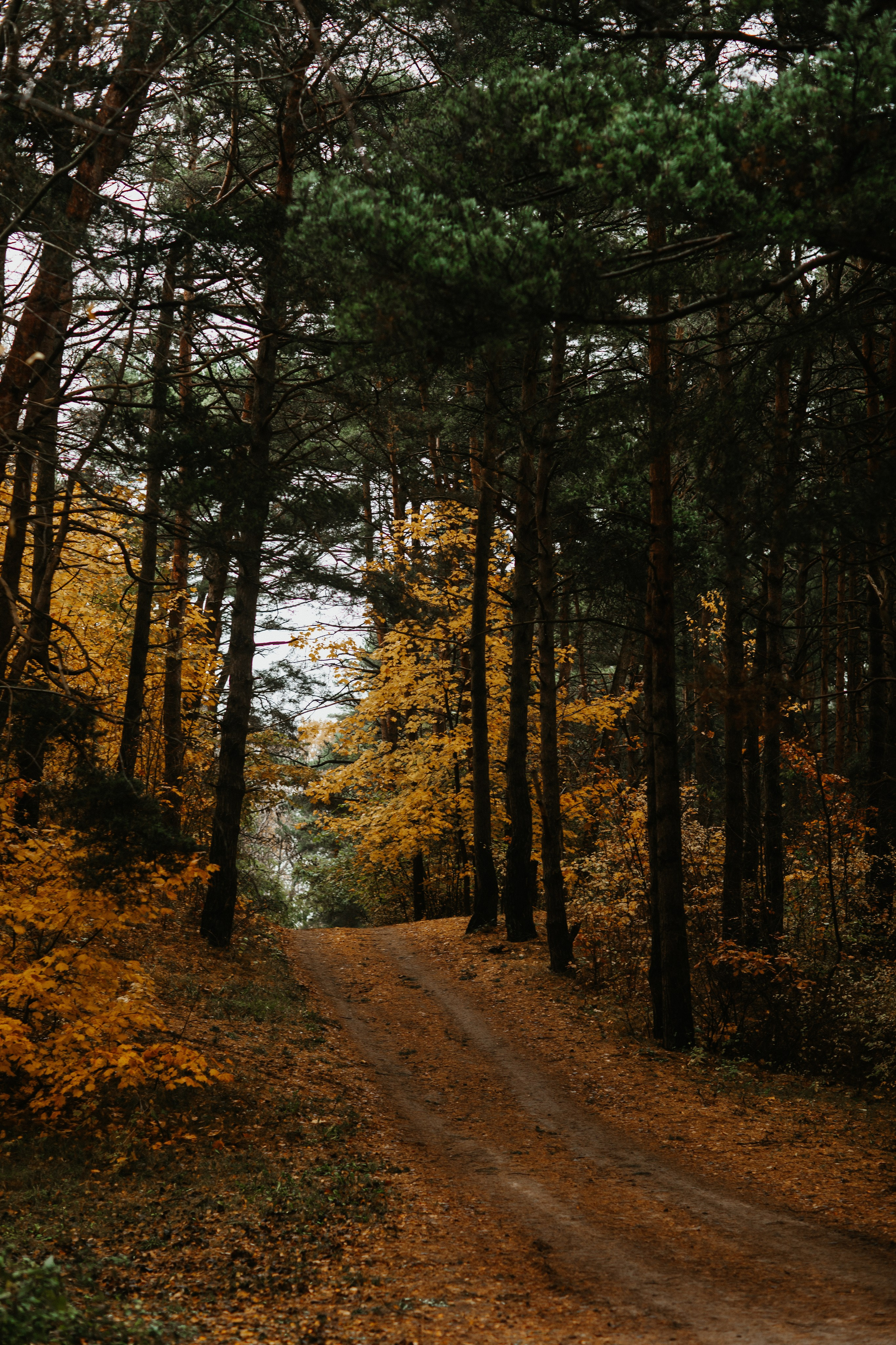 Фотосессия в Балтийске. Https://malovafoto.ru