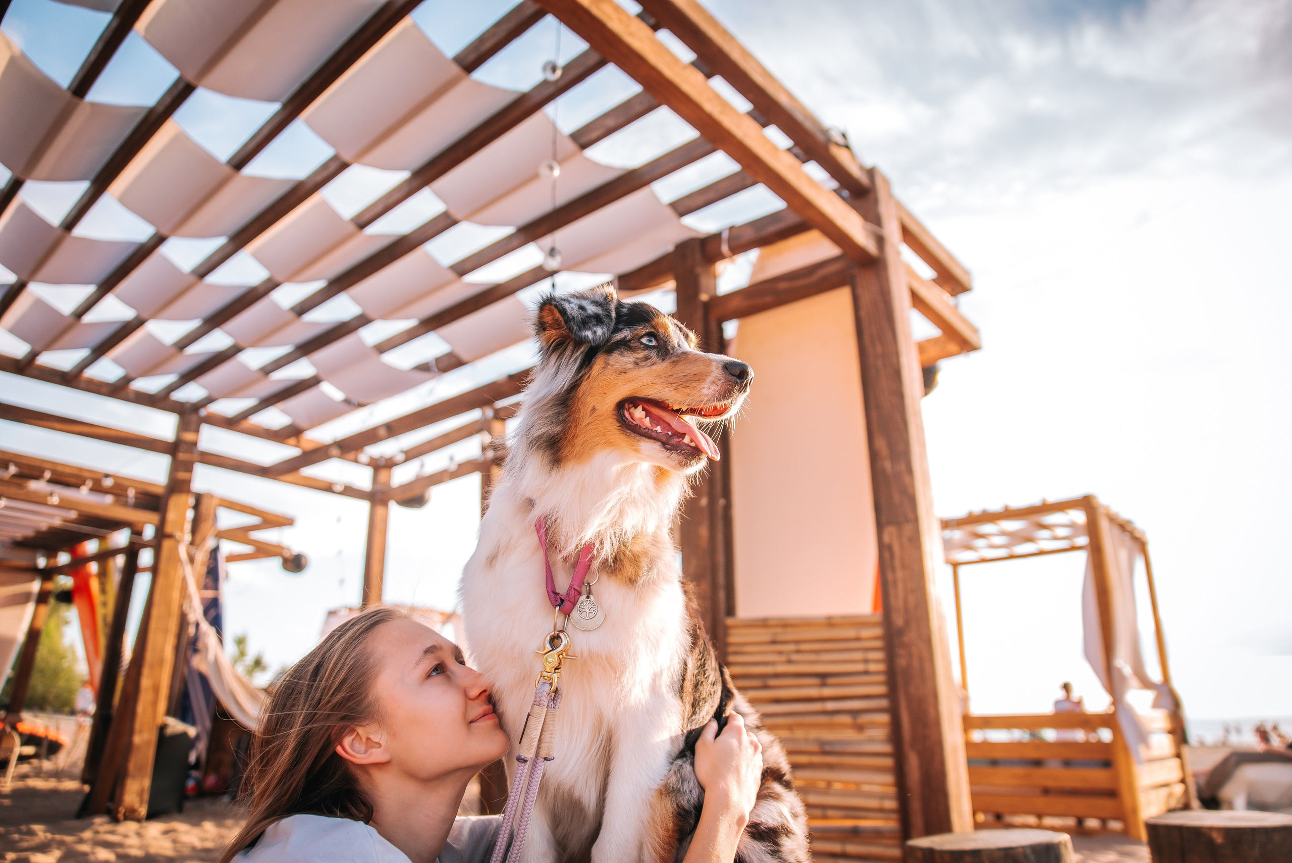 No Bad Days. Главная