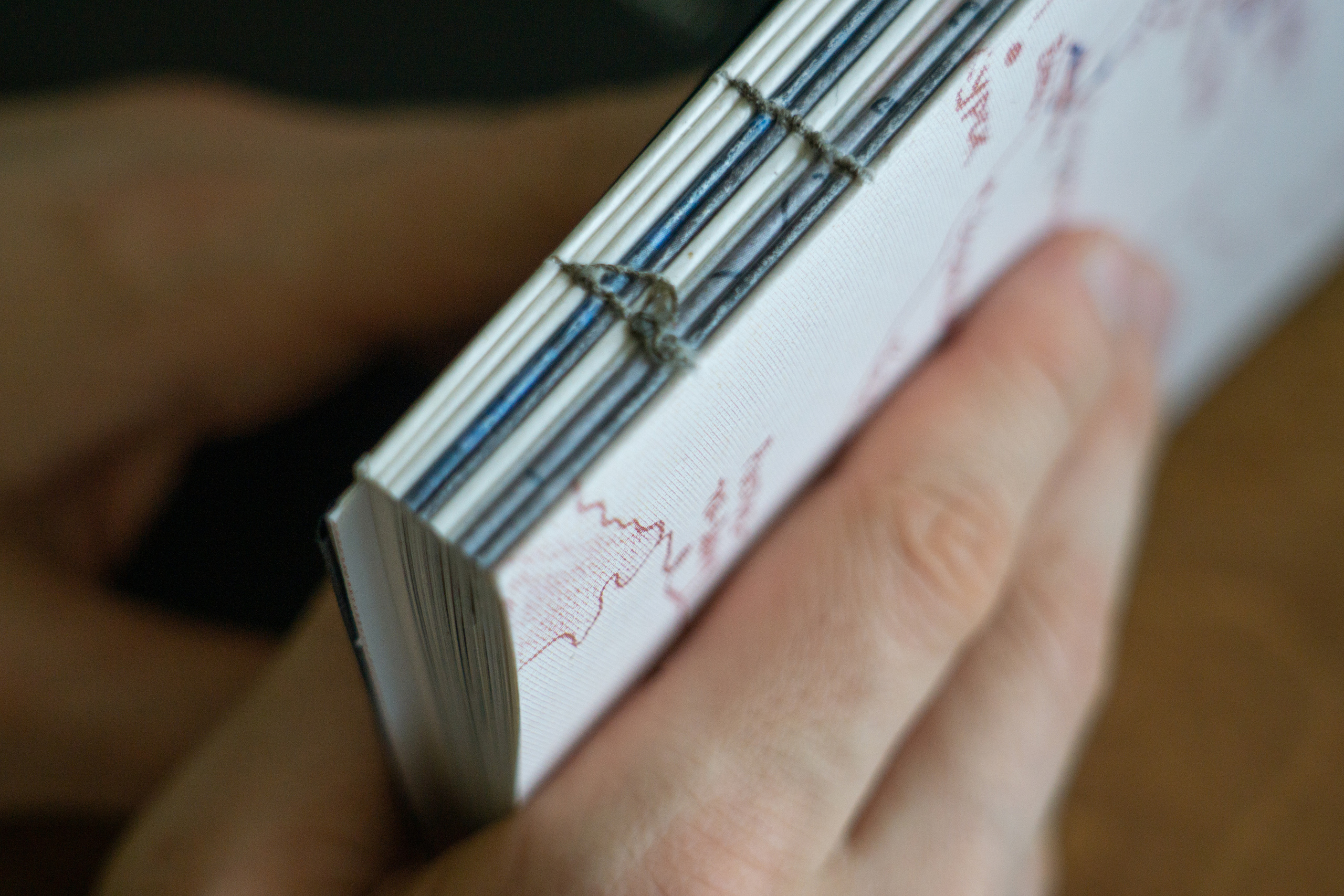 Флегонт. Anna Vishnevskaya