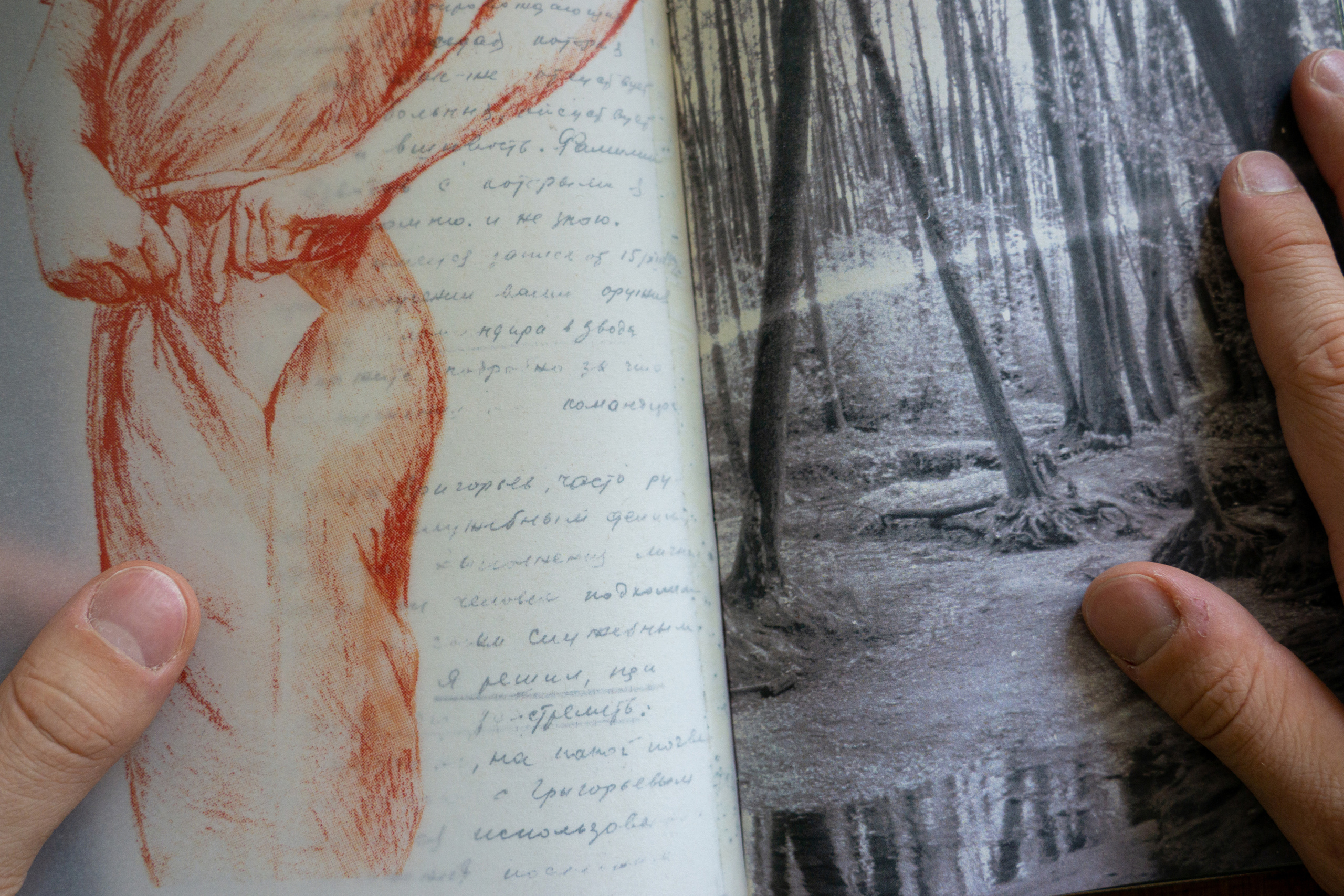 Флегонт. Anna Vishnevskaya