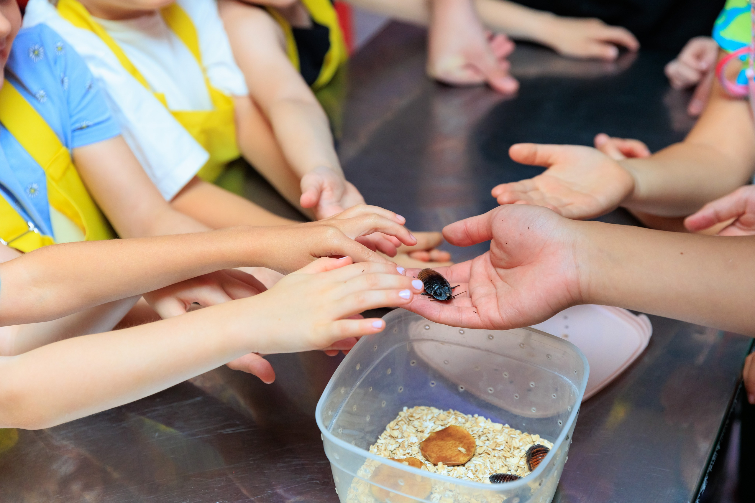 Адская кухня CooknRun Events. Фотограф Новосибирск — Наталья Гресь