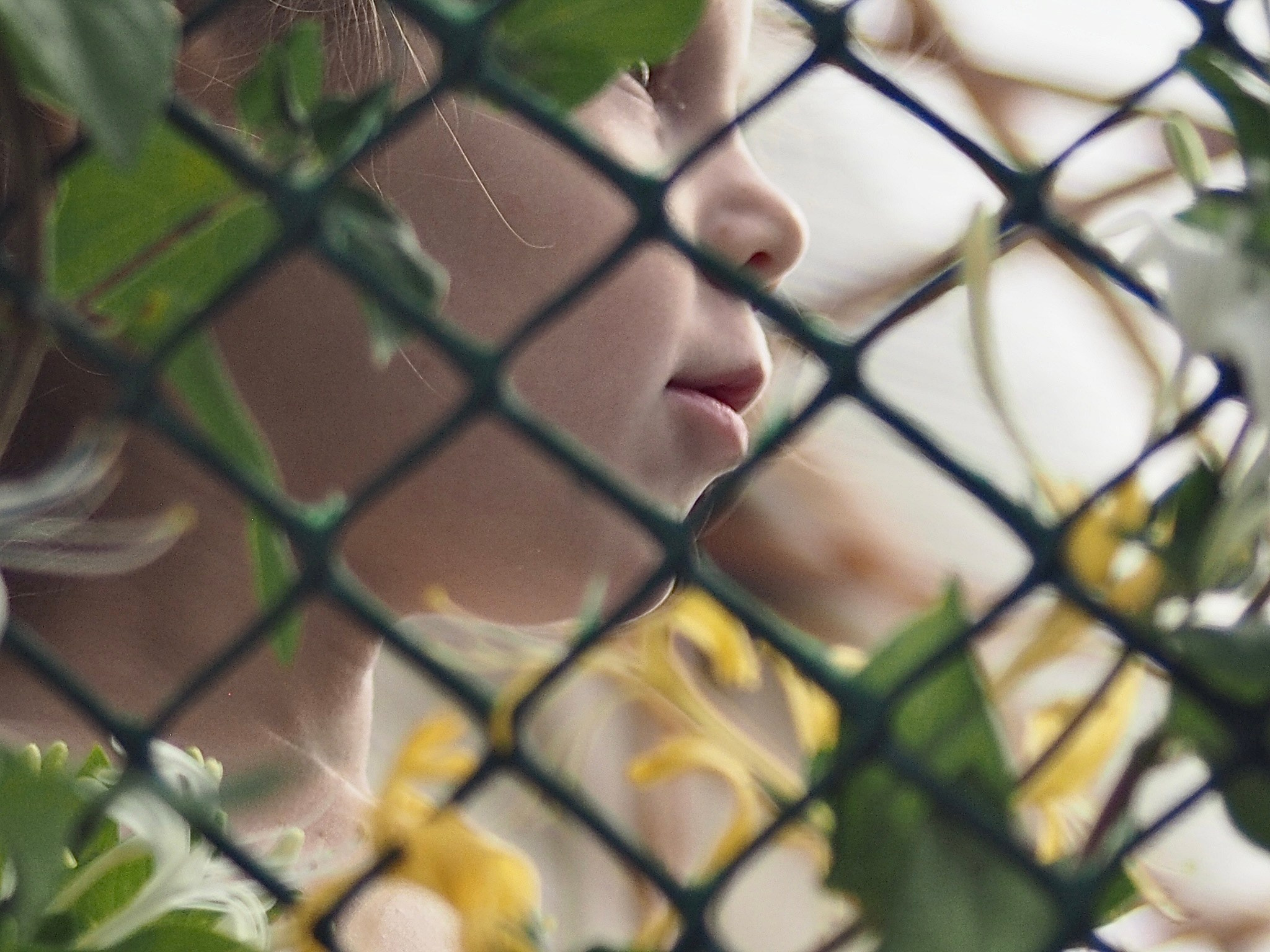 Дети. Смотри, красота!